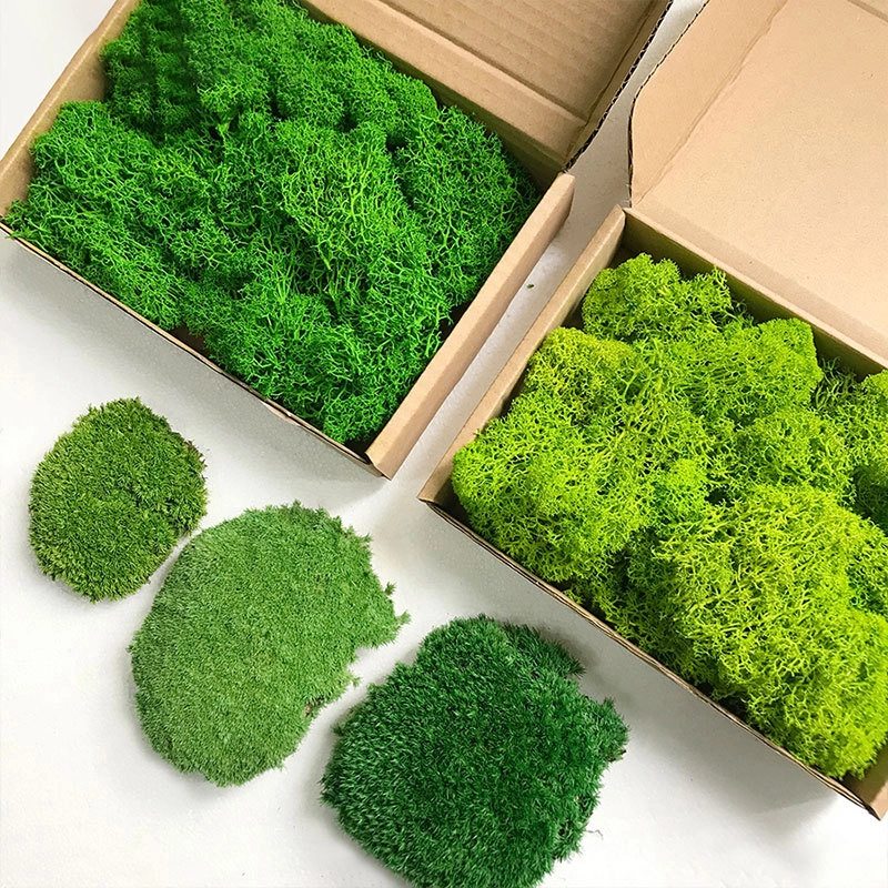Immortal moss wall deer moss wall decoration background wall landscaping flowers 1
