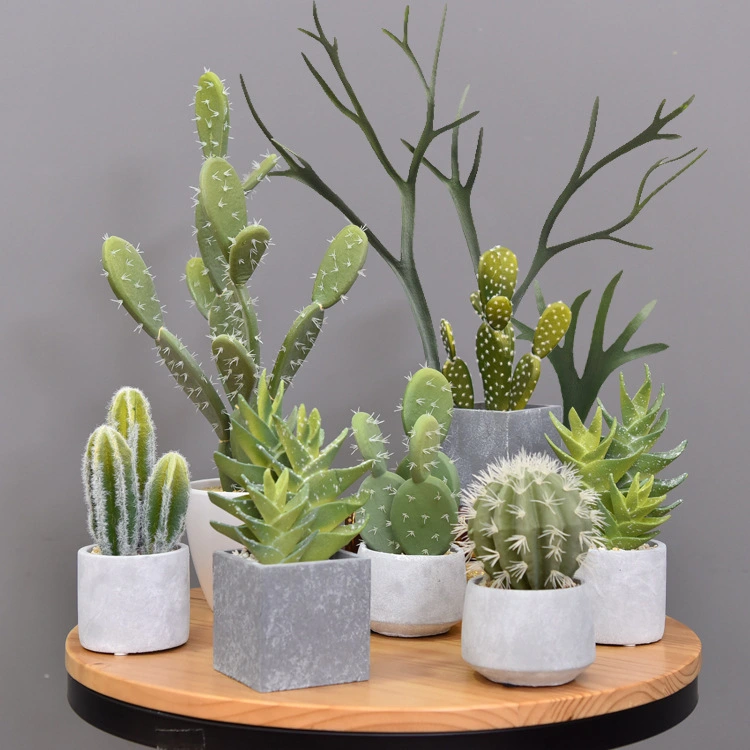 Retro simulation cactus potted office small bonsai decoration 1
