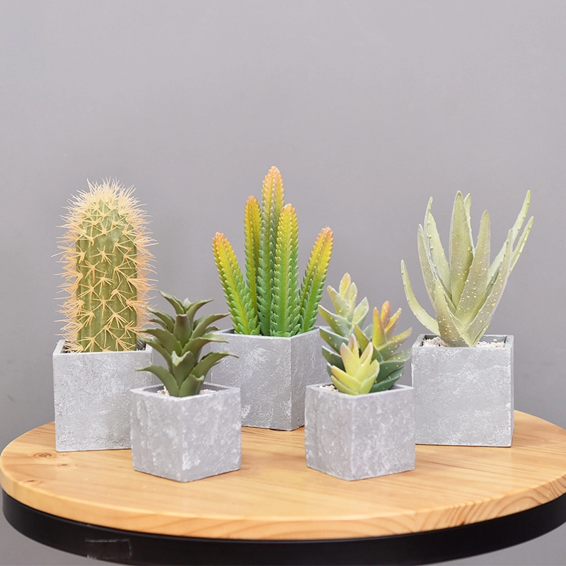 Simulation green plant cactus home decoration simulation plant 1