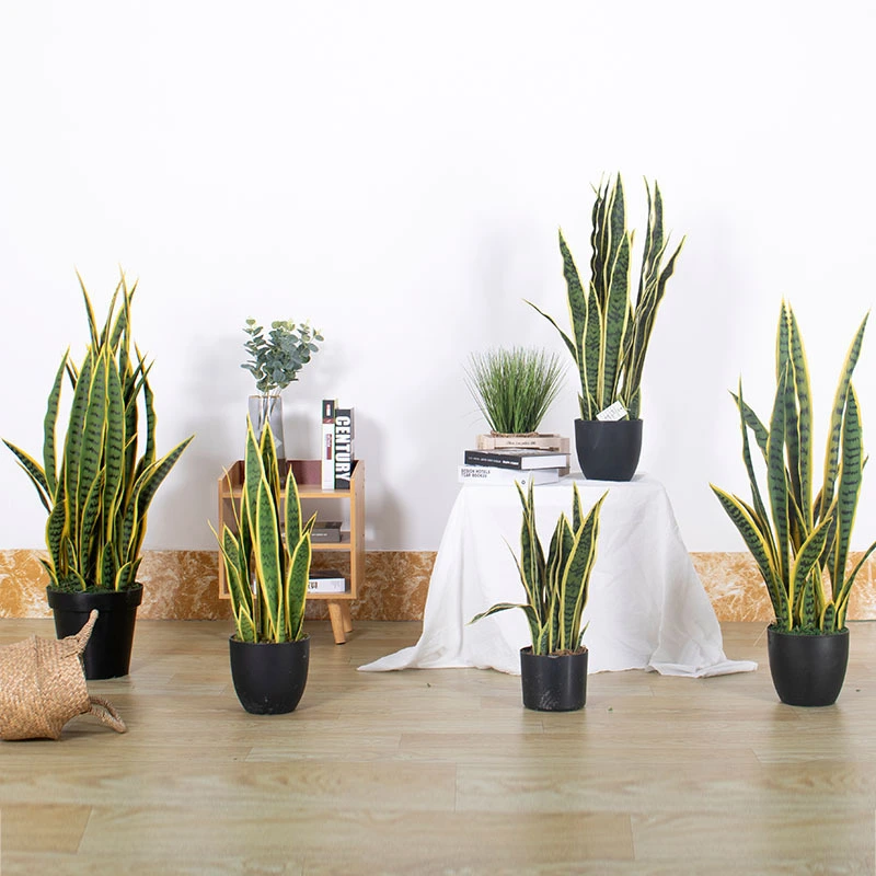 Decoración paisajística con orquídea tigre de borde amarillo simulado 1