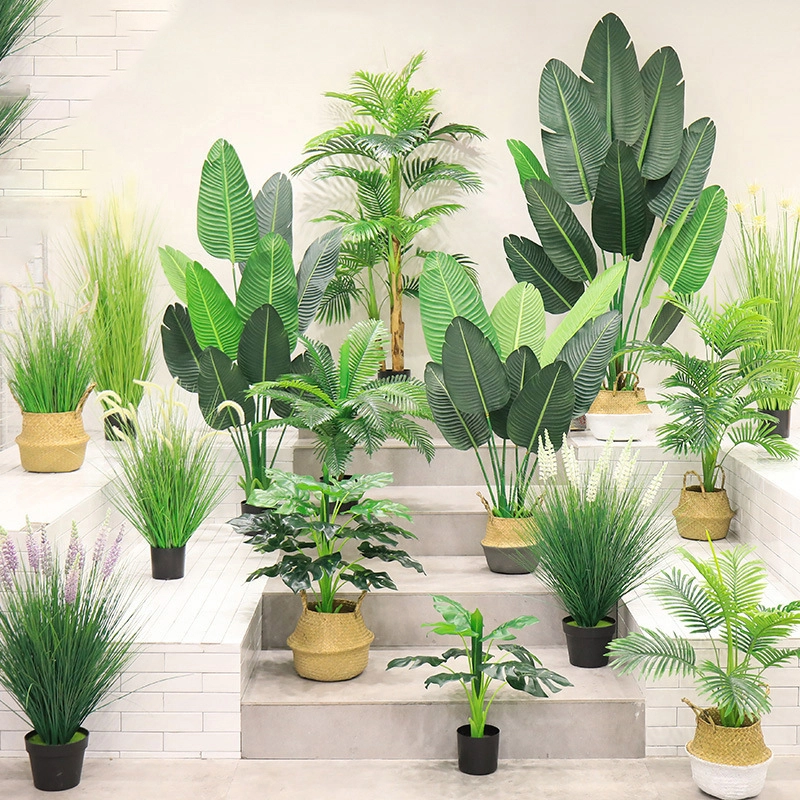 Artificial tree green plant potted bird of paradise indoor bonsai wealth tree can be used in a variety of scenarios 1