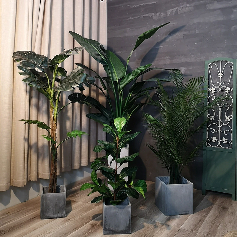 Planta de anchoa, hoja de lira, baniano, maceta, decoración de bonsái ignífuga para interiores 1