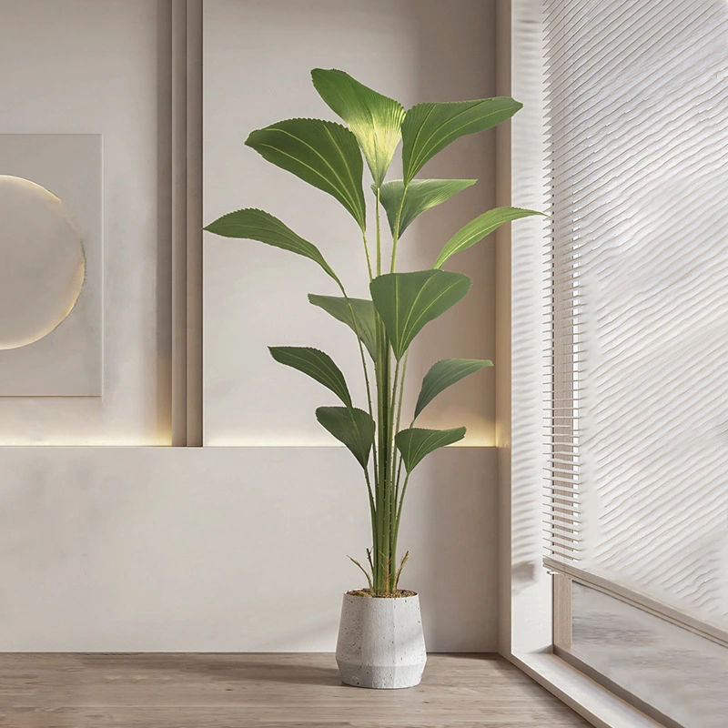 Decoración de plantas en macetas para el suelo de la sala de estar interior 1