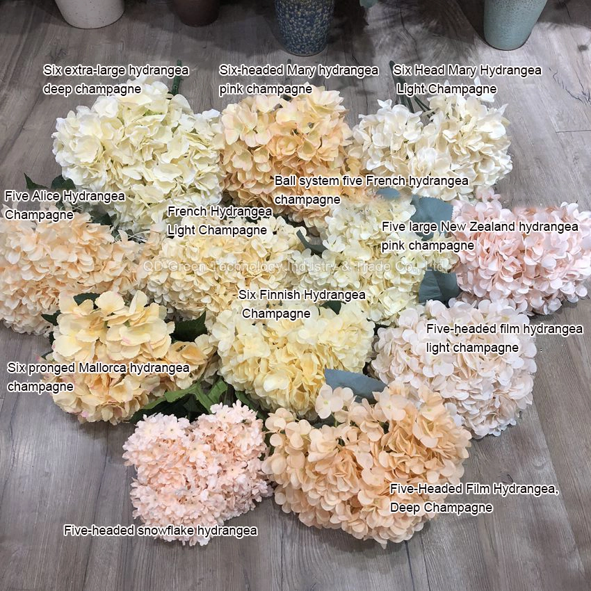Champagne hydrangea wedding flower materials All kinds of Champagne hydrangea wedding road lead flower arrangement 1