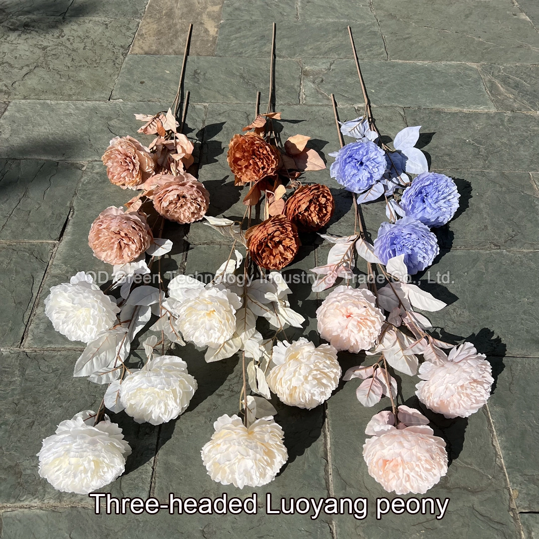Autumn Wedding Peony/Peony wedding decoration flowers 1