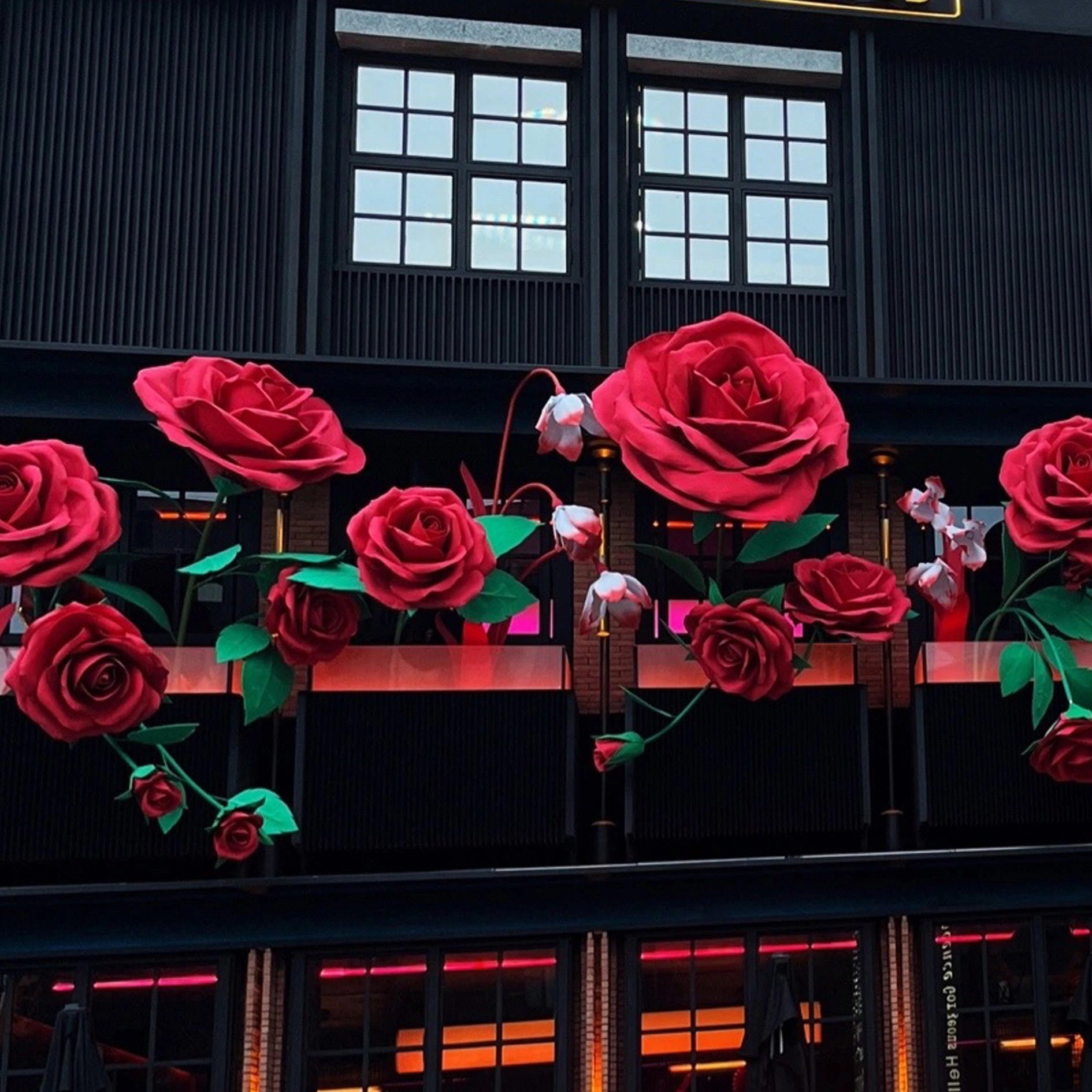 Flores gigantes de rosa roja gigantes de alta calidad de lujo de alta calidad
