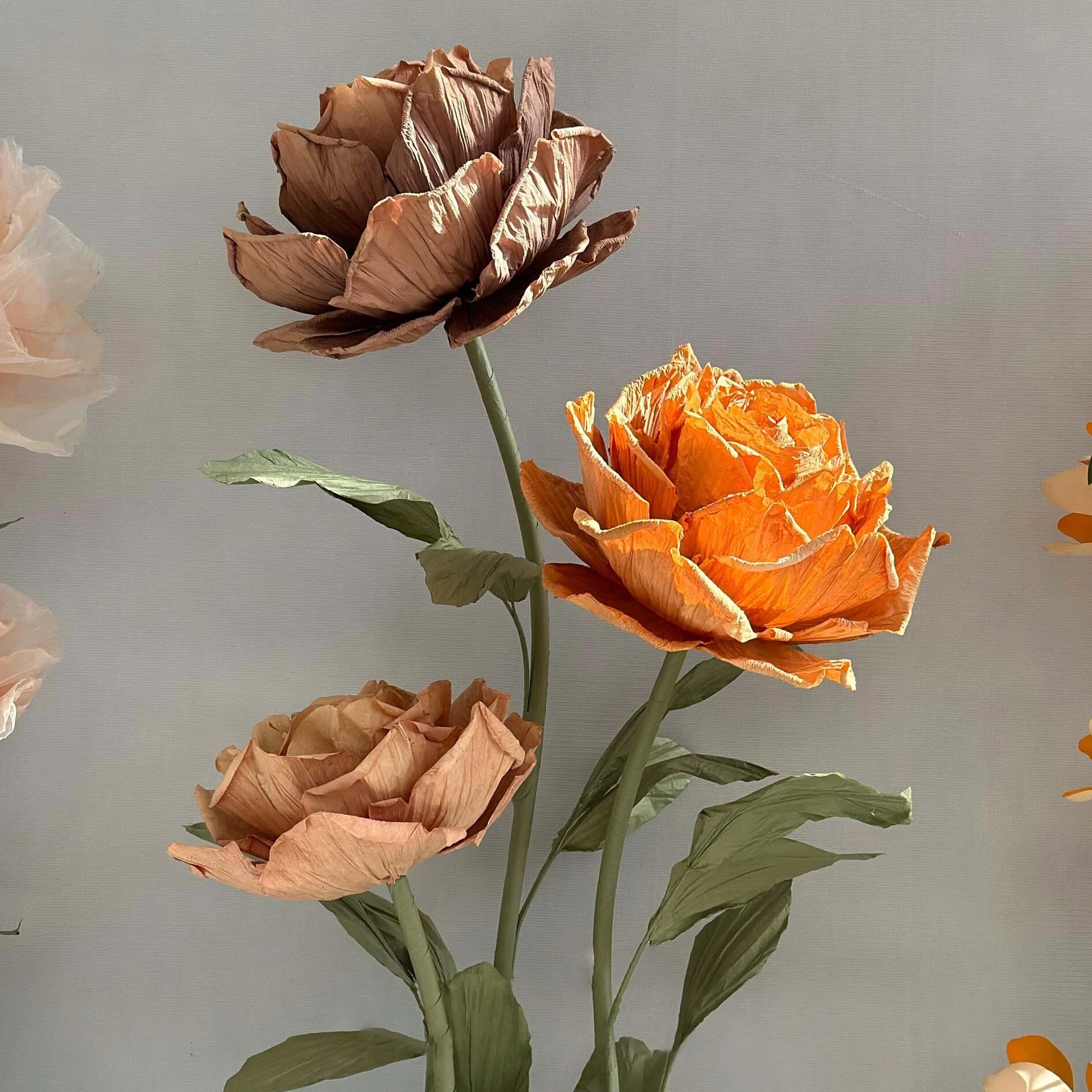 Rose Set Brand Conference Window Art