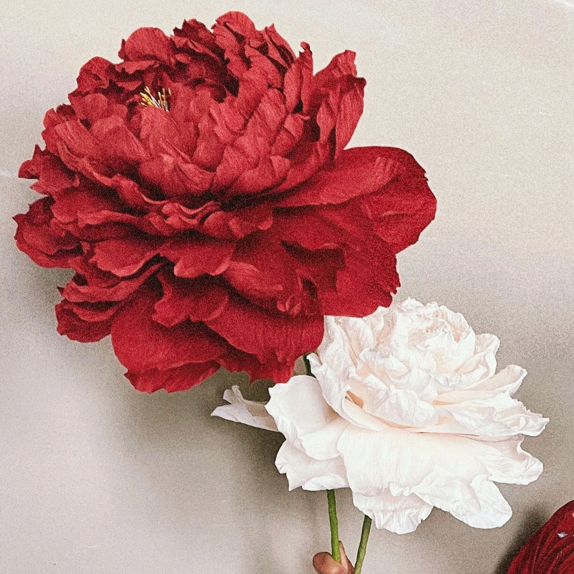 Paper Peony Handmade Custom Wedded Wedding Home