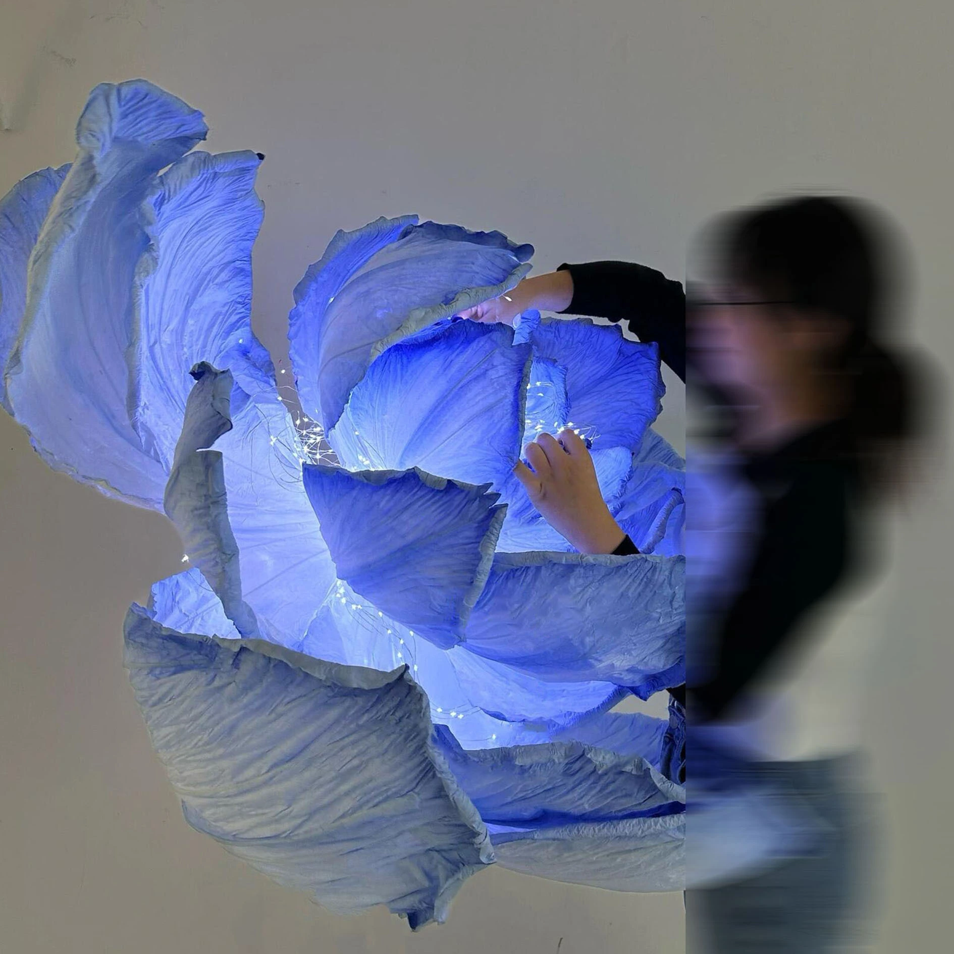 Flores gigantes