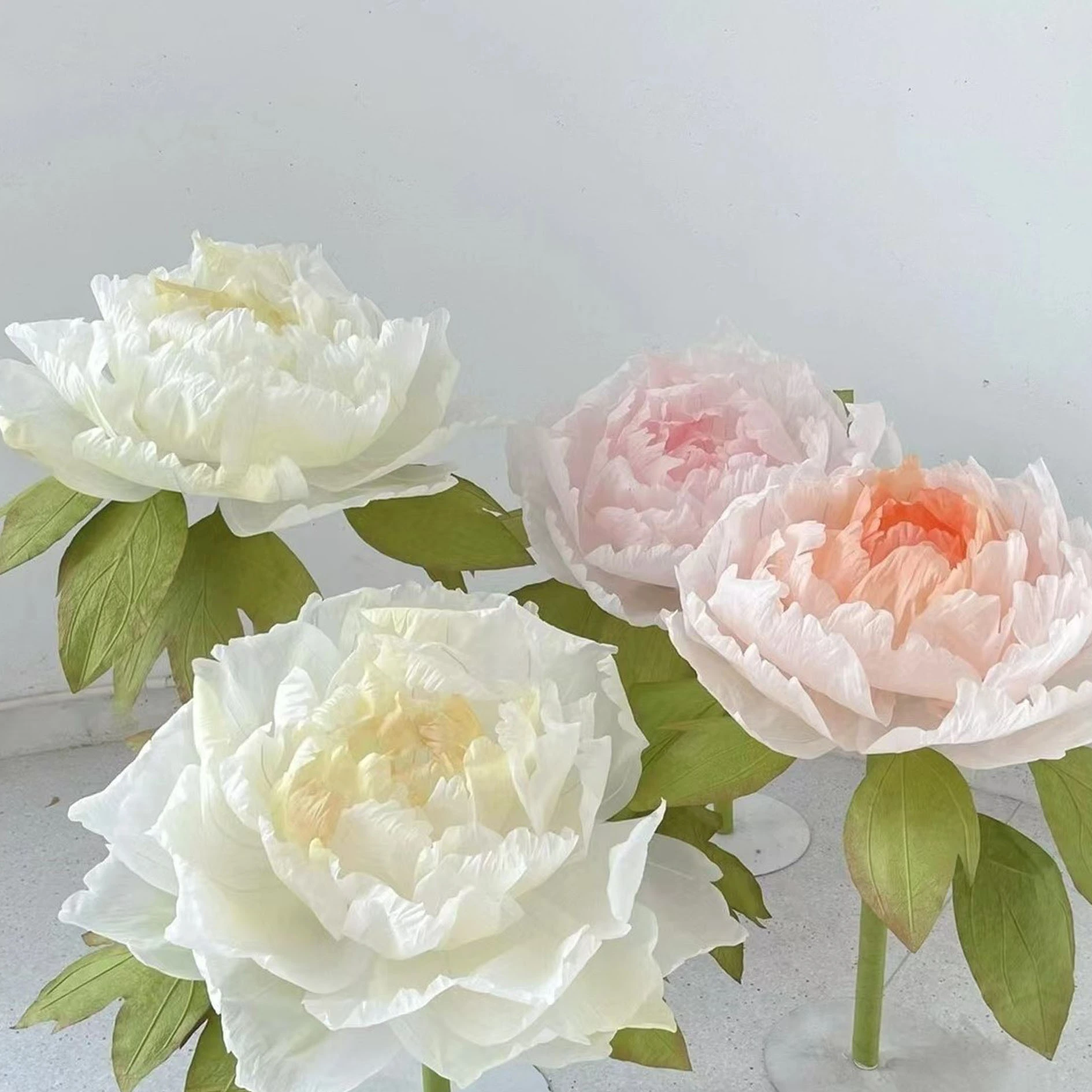 Small Fresh Light Color Series Giant Flower