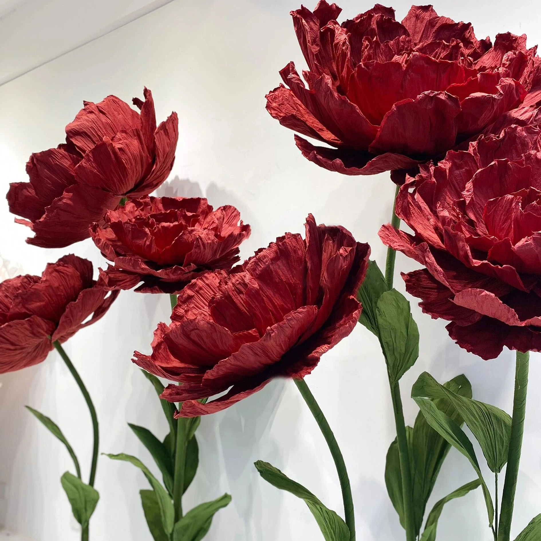 Poppy de flores gigantes