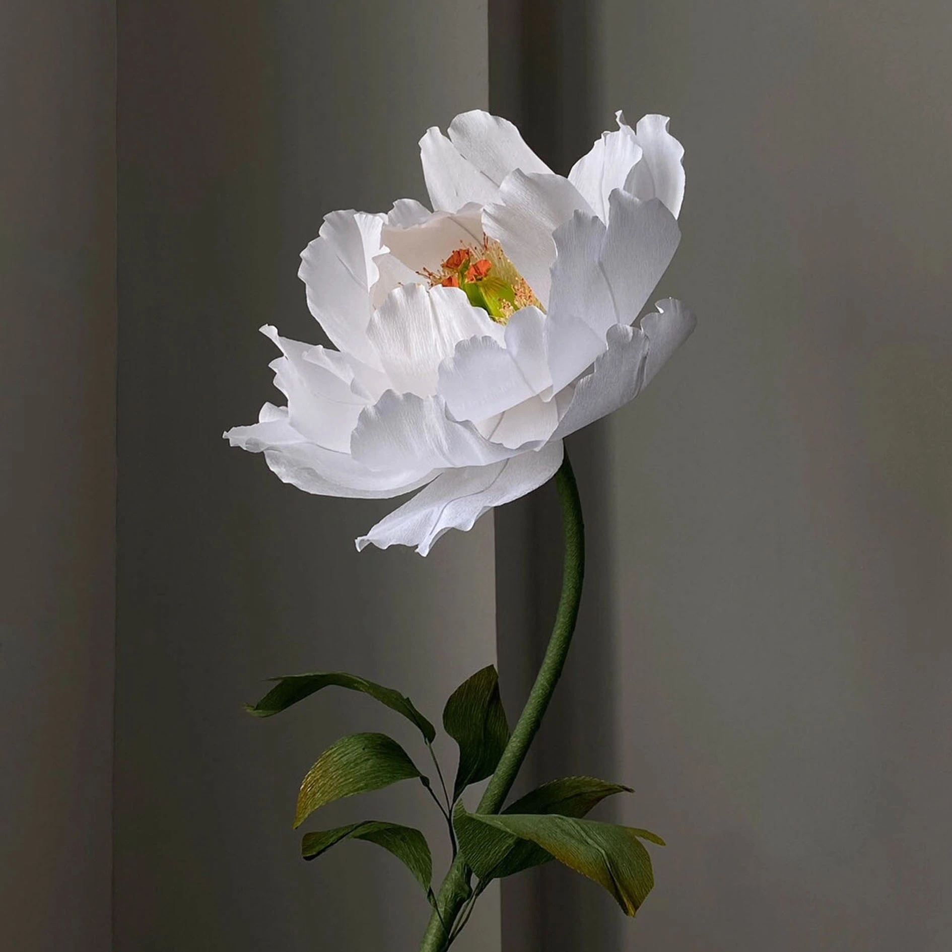 Flores blancas gigantes