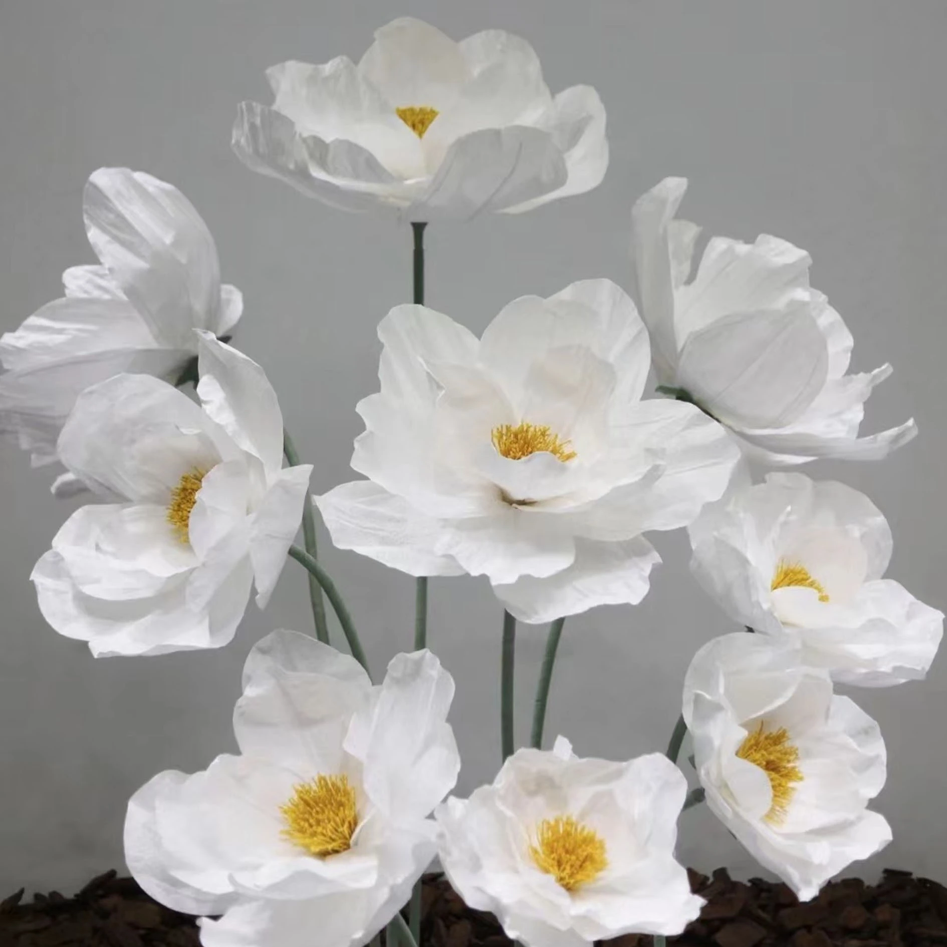 Hermosas flores gigantes de papel blanco