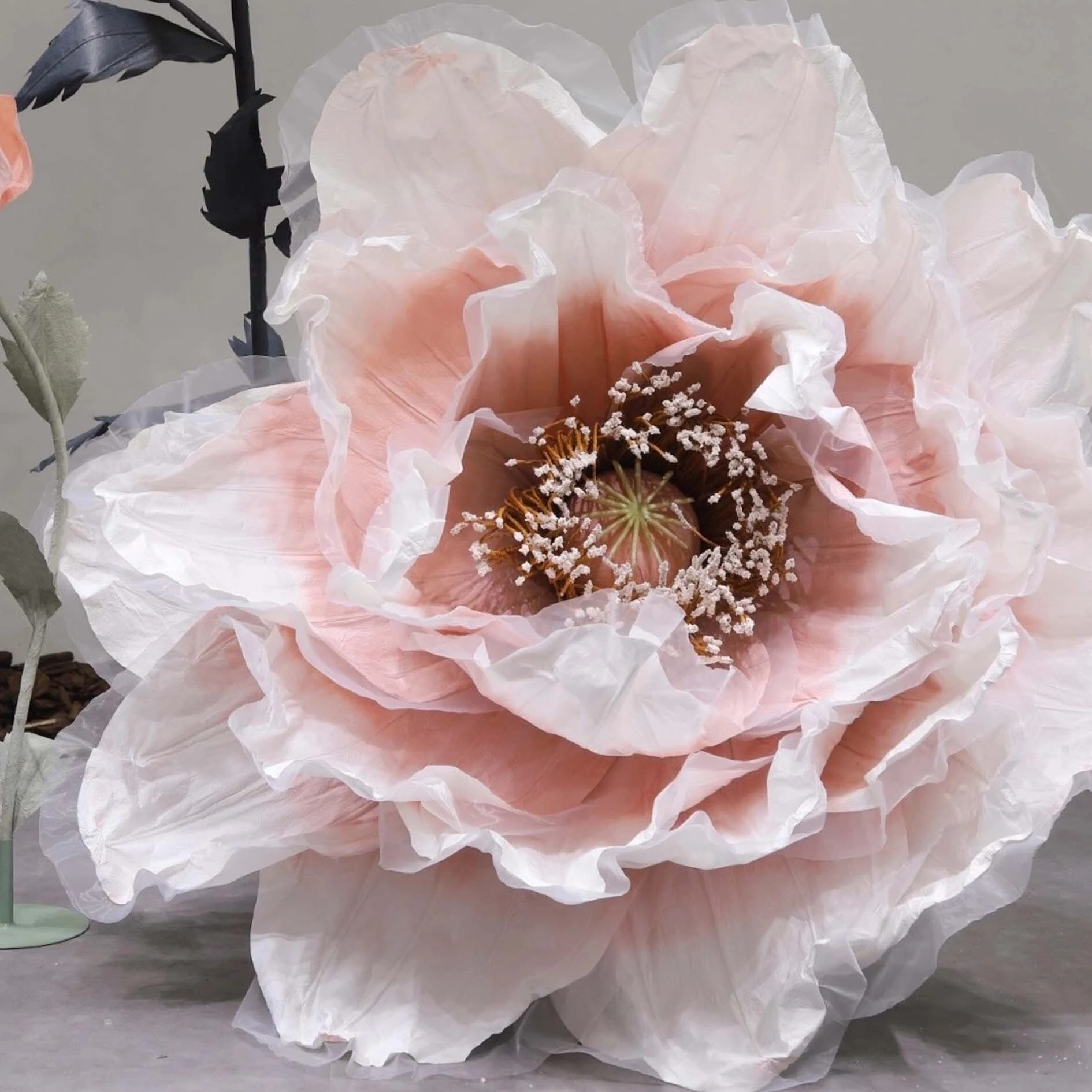 Organza rencontre le coquelicot géant