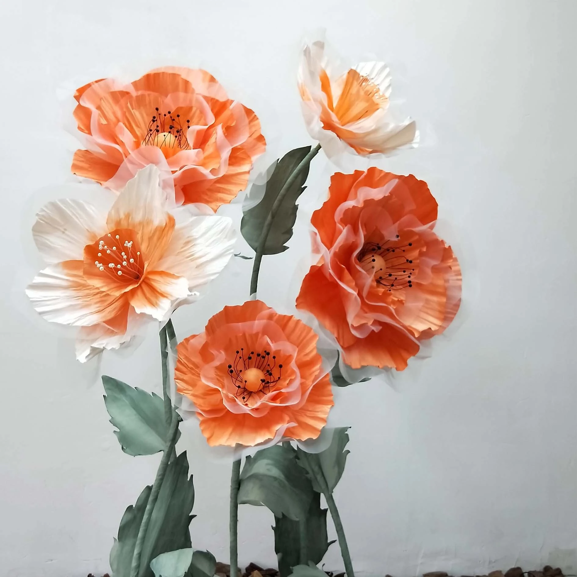 Paper Art Art Poppy Blooming