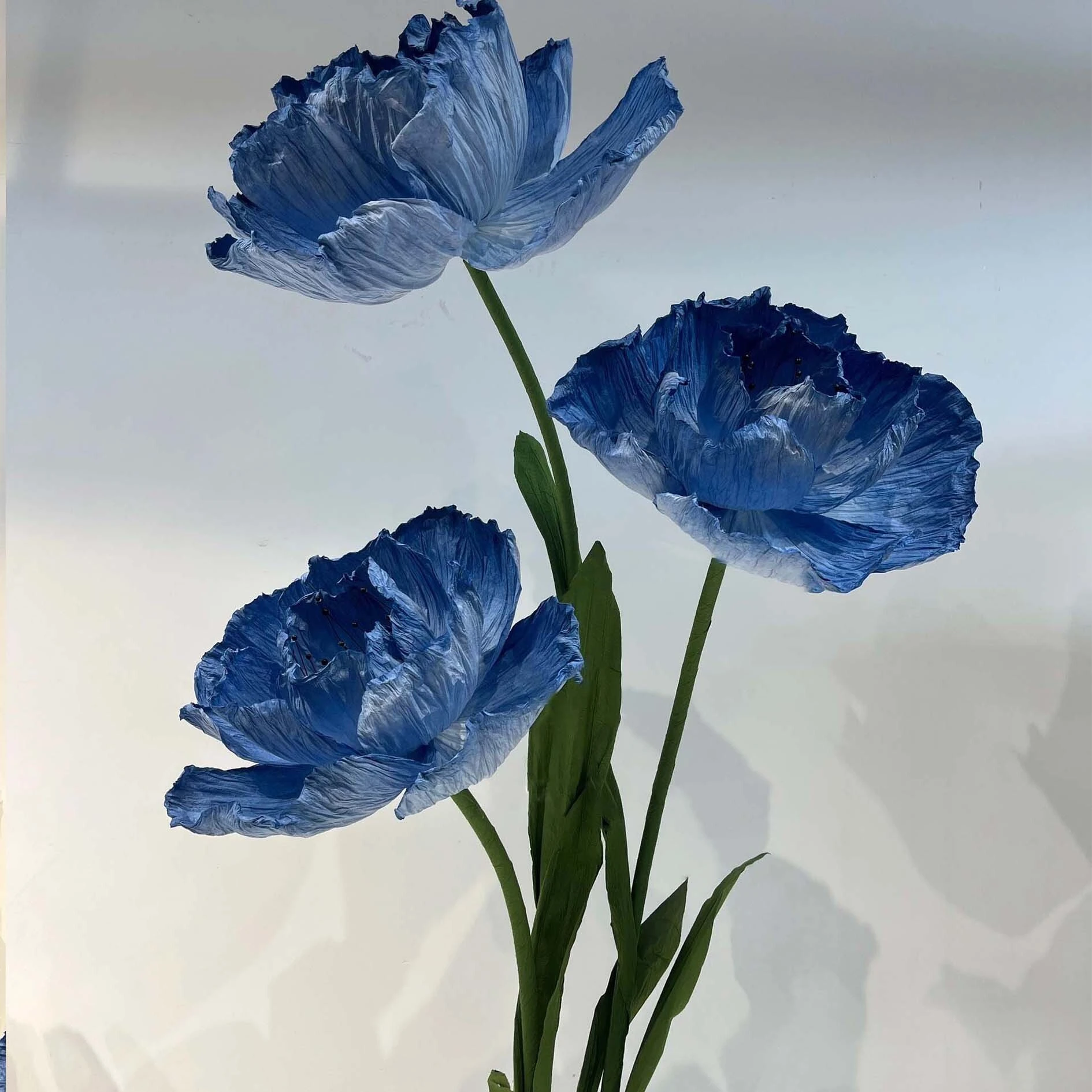 Paper Art Blue Poppy Event Scene Art