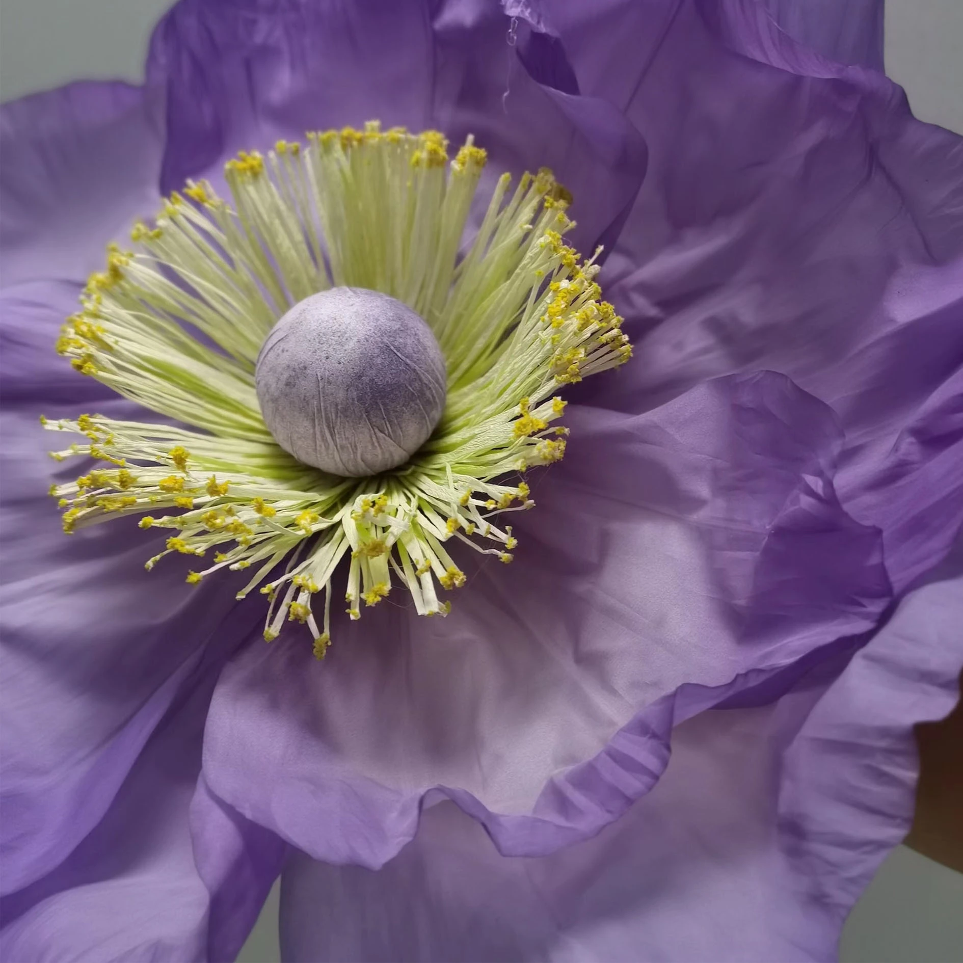 grandes décorations de fleurs