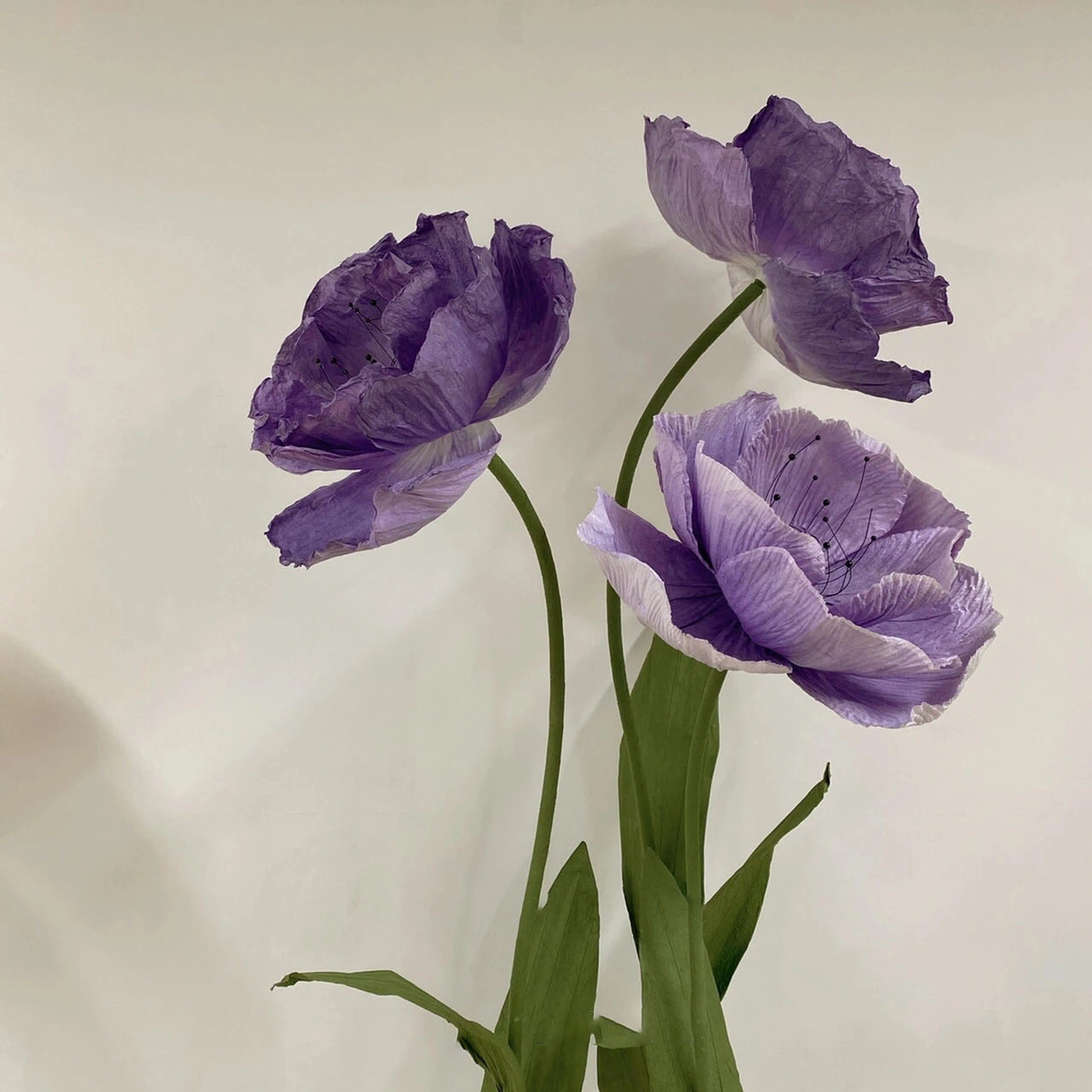 Amapola de papel púrpura