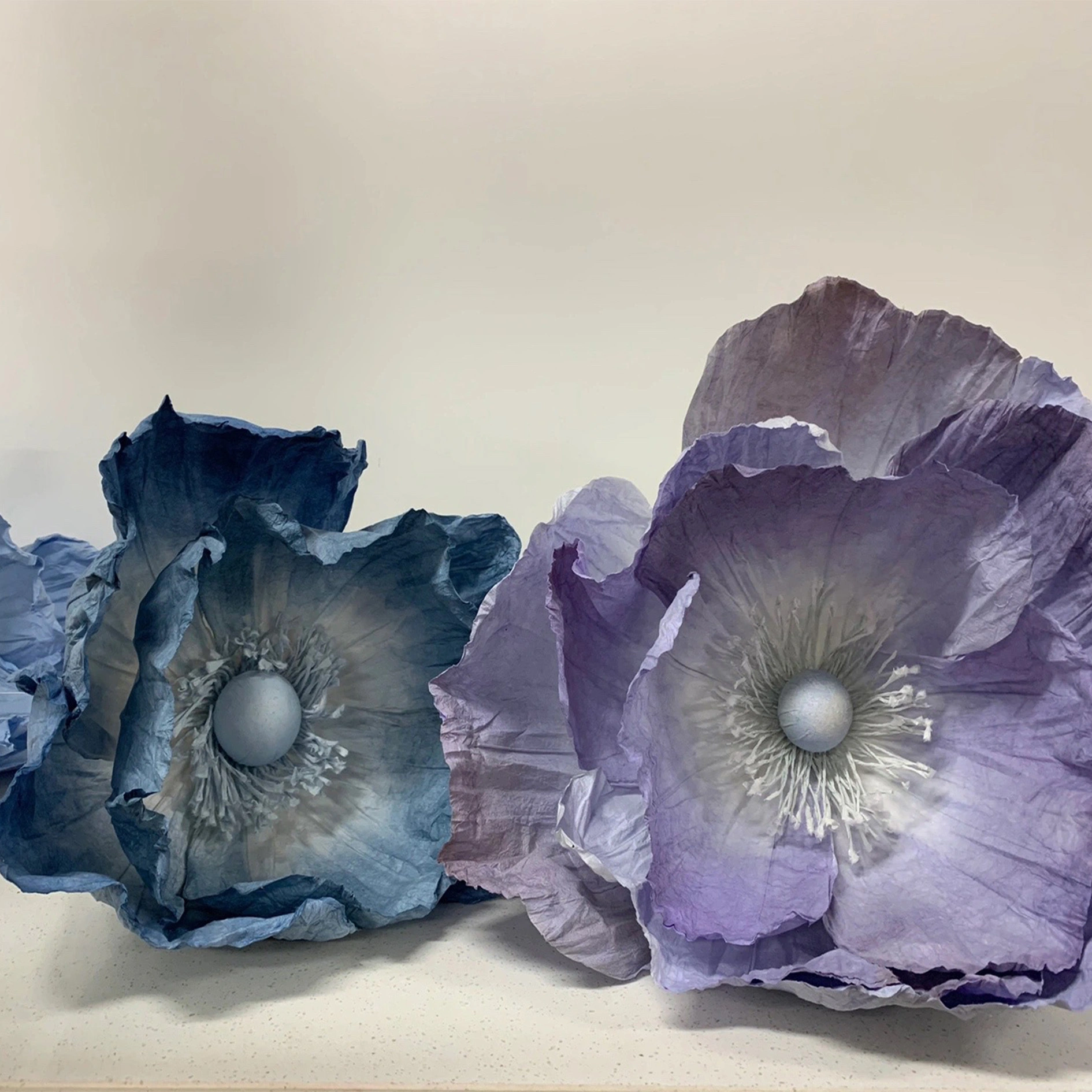 El papel azul-púrpy de la amapola floral