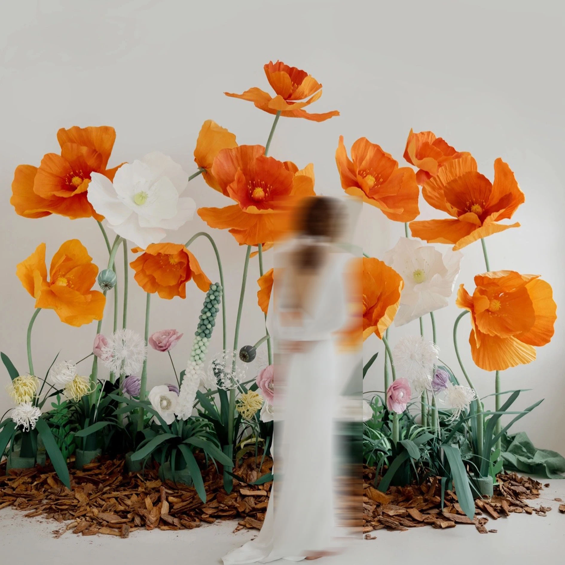 arte de flores de amapola gigante