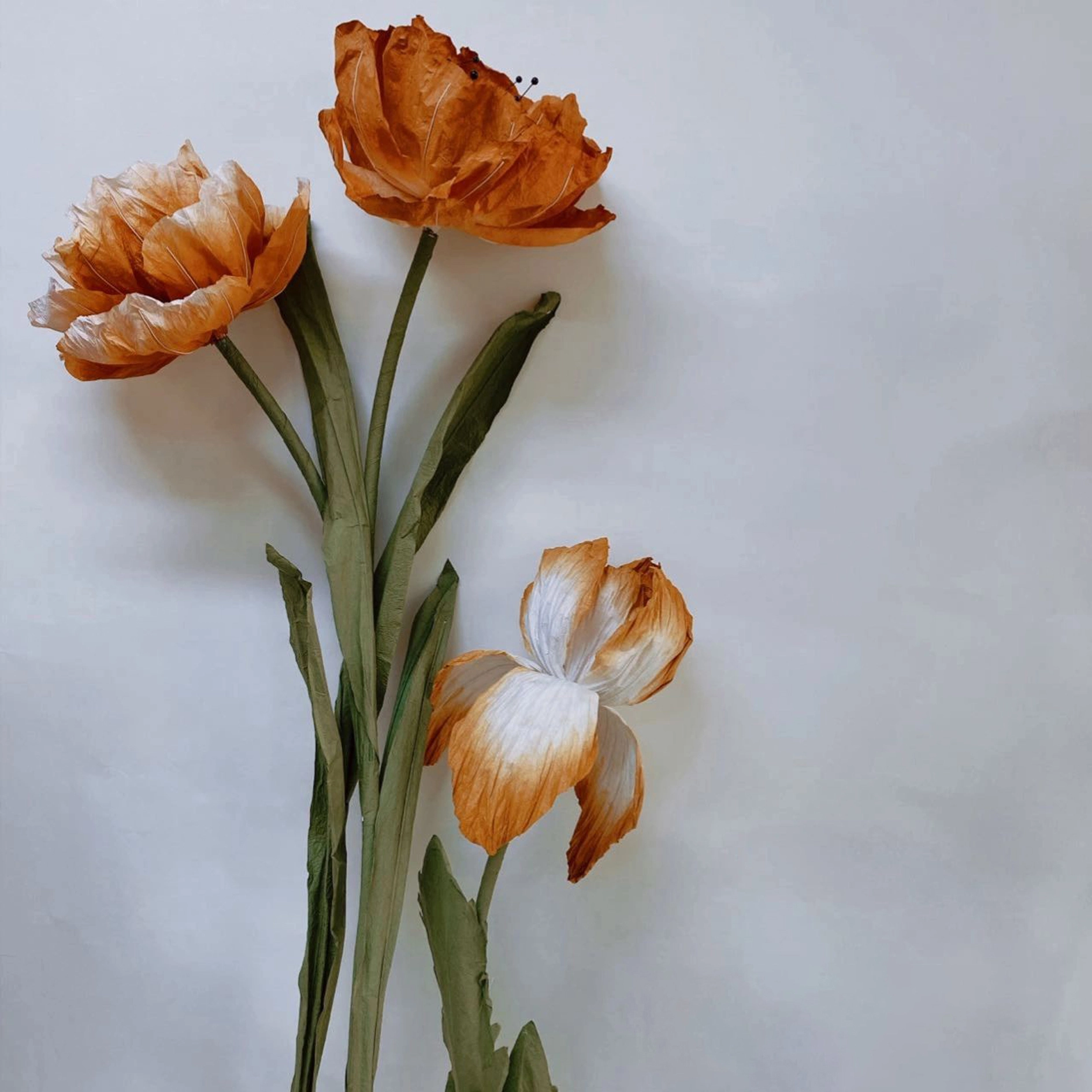 Flor de colores de gradiente