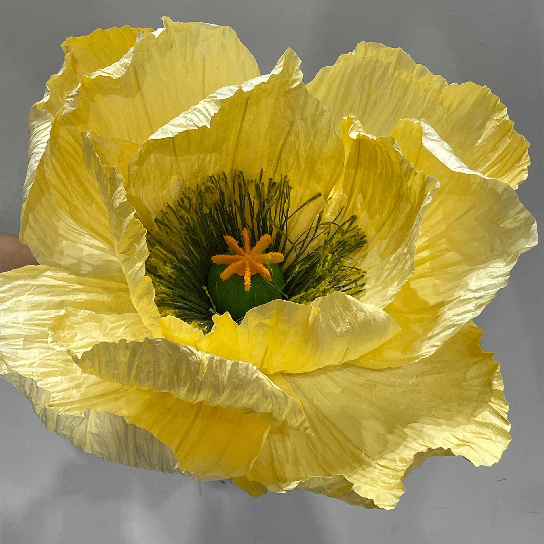 Flores gigantes de la amapola del papel amarillo