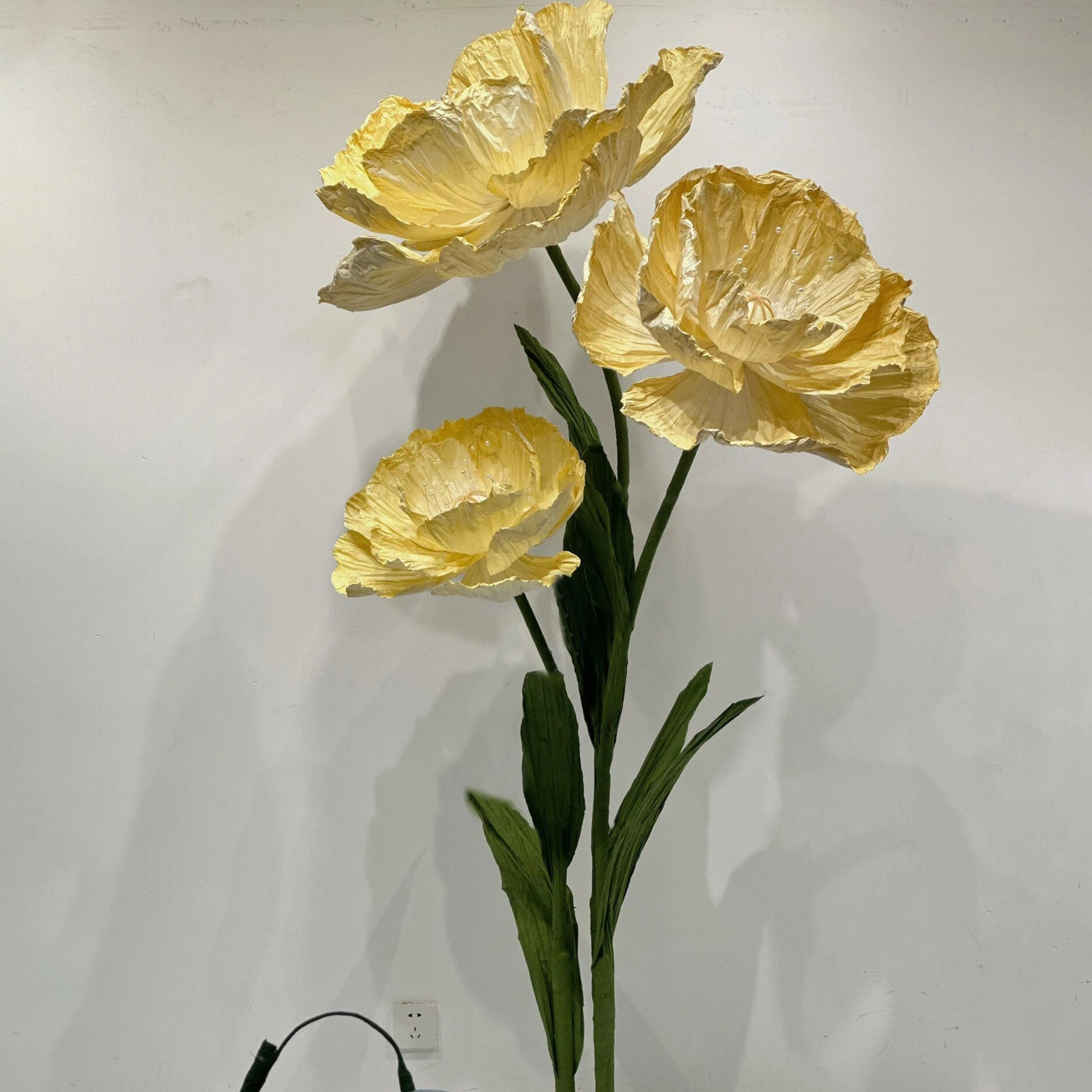 La colorida amapola amarilla