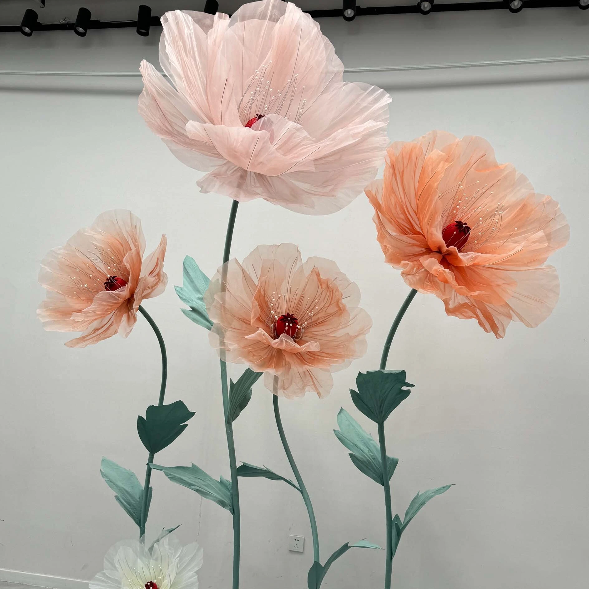 Les fleurs géantes délicates