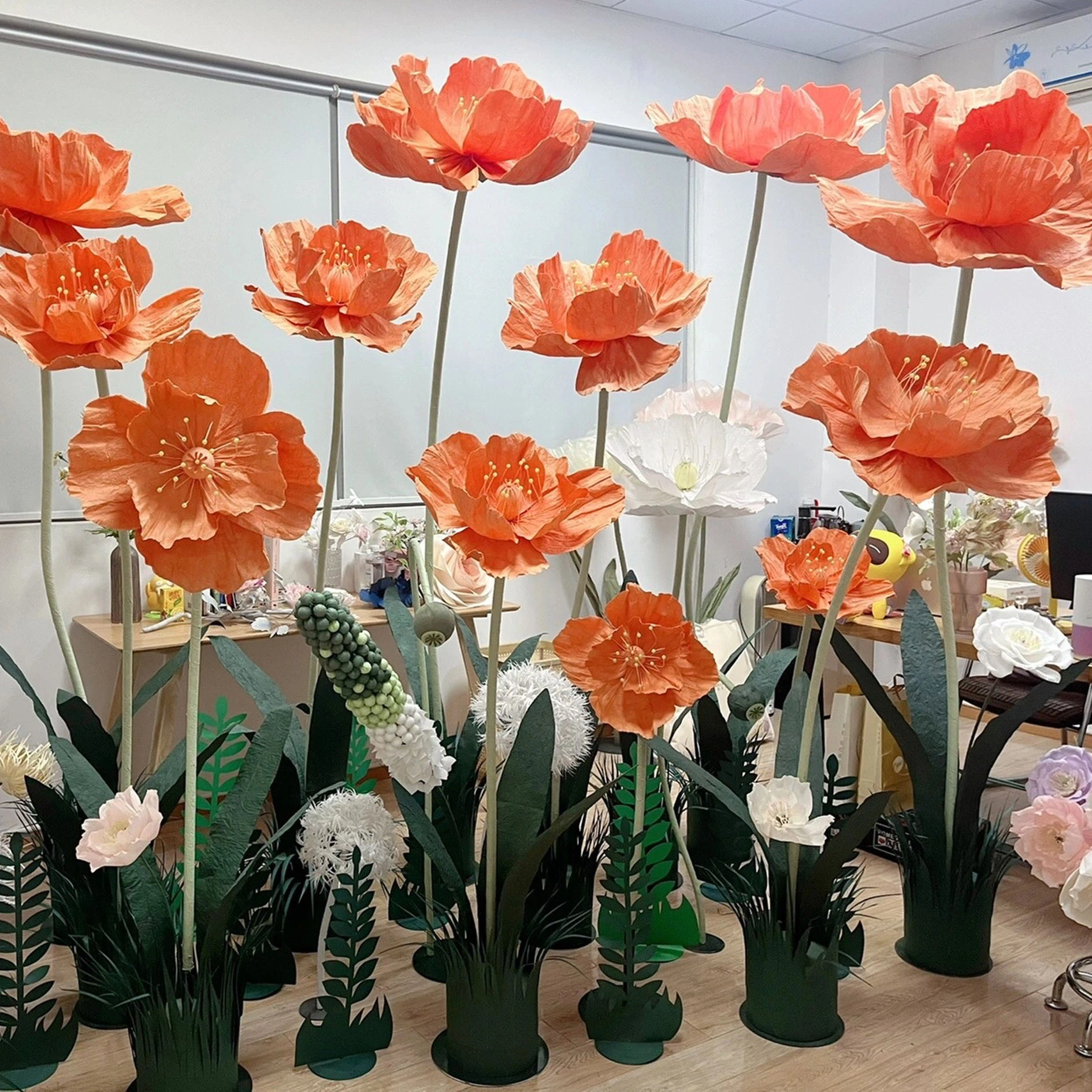 set de amapola
