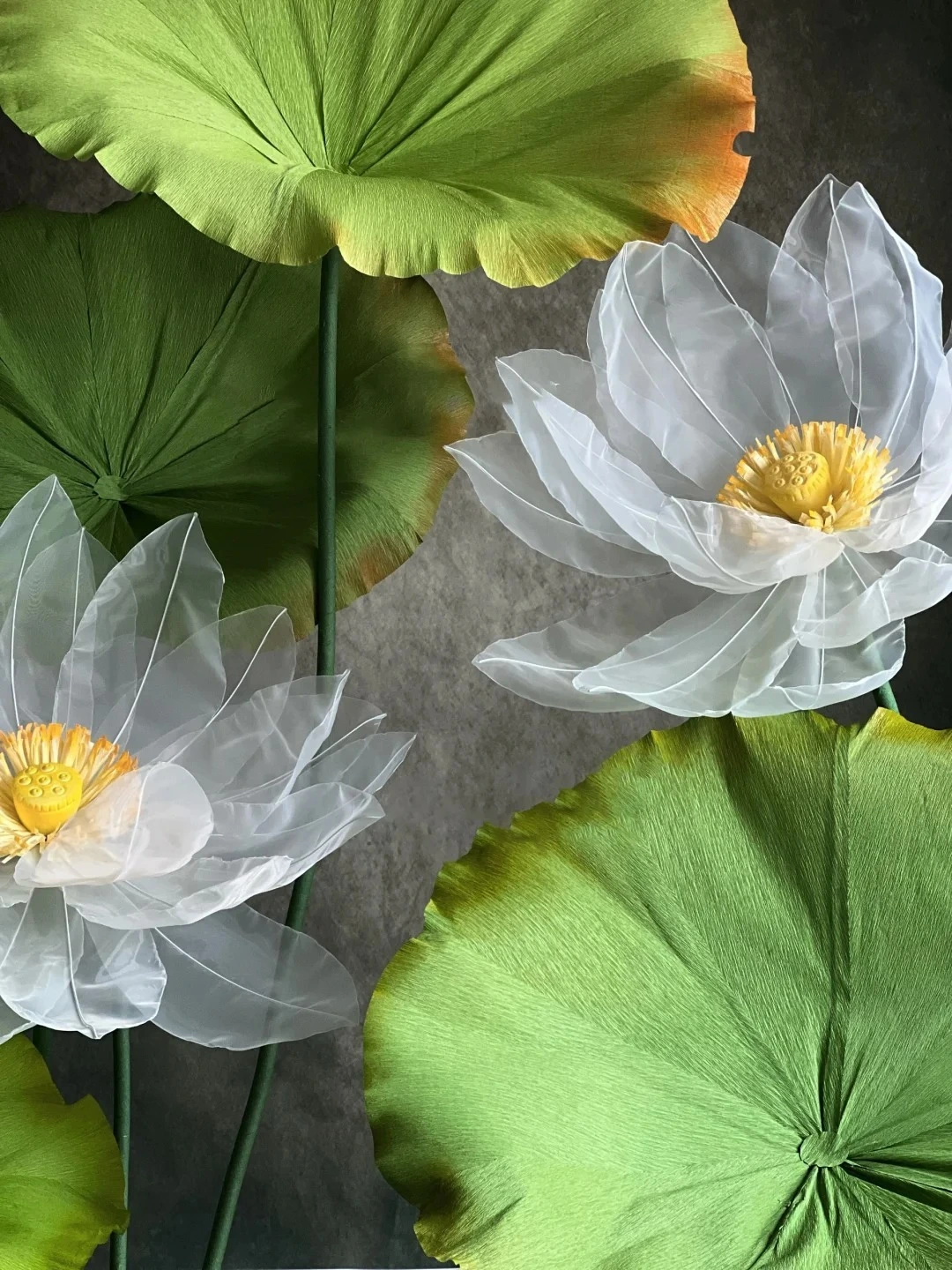 fleurs de lotus