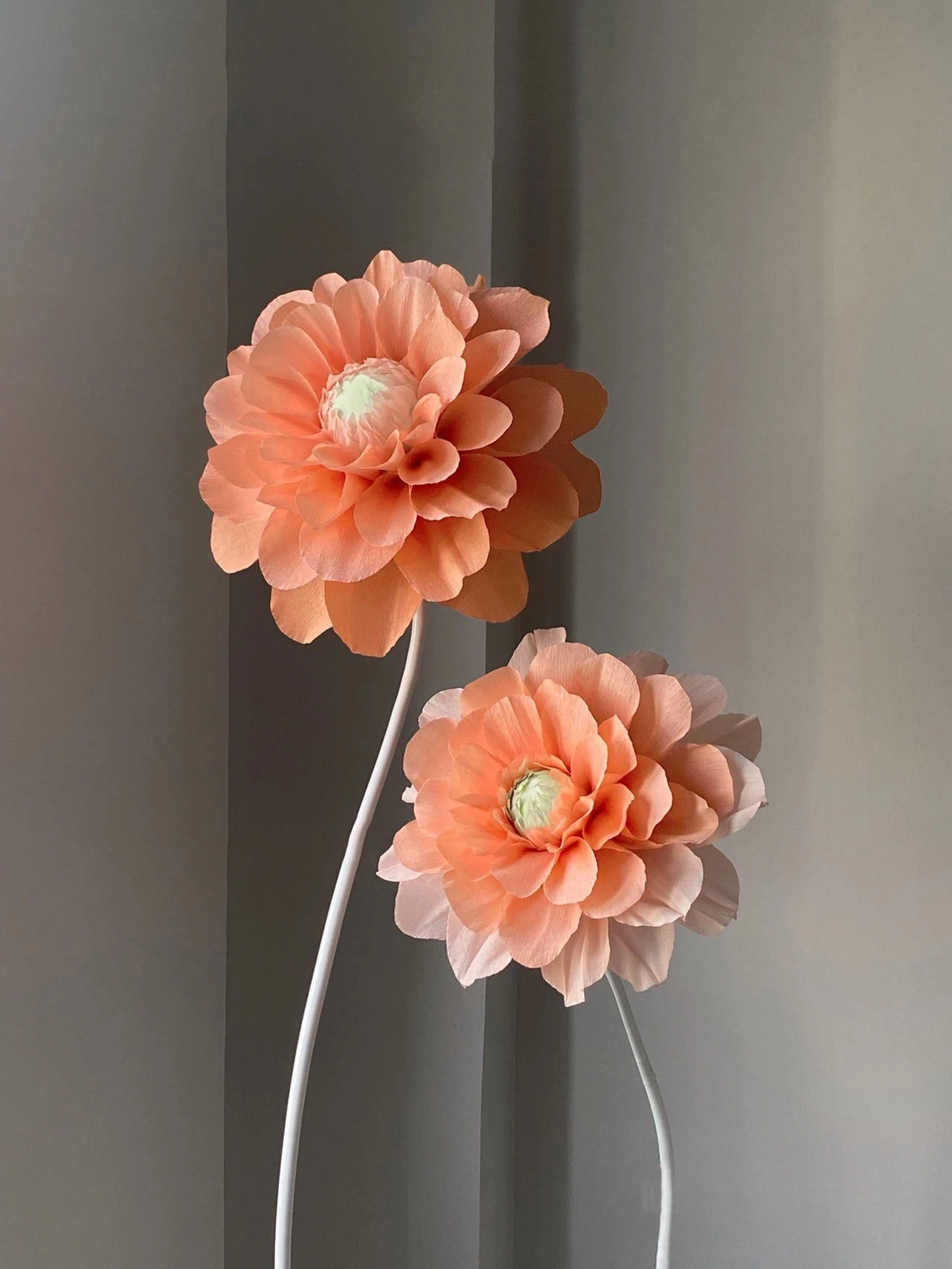 Dahlias de papel crepe
