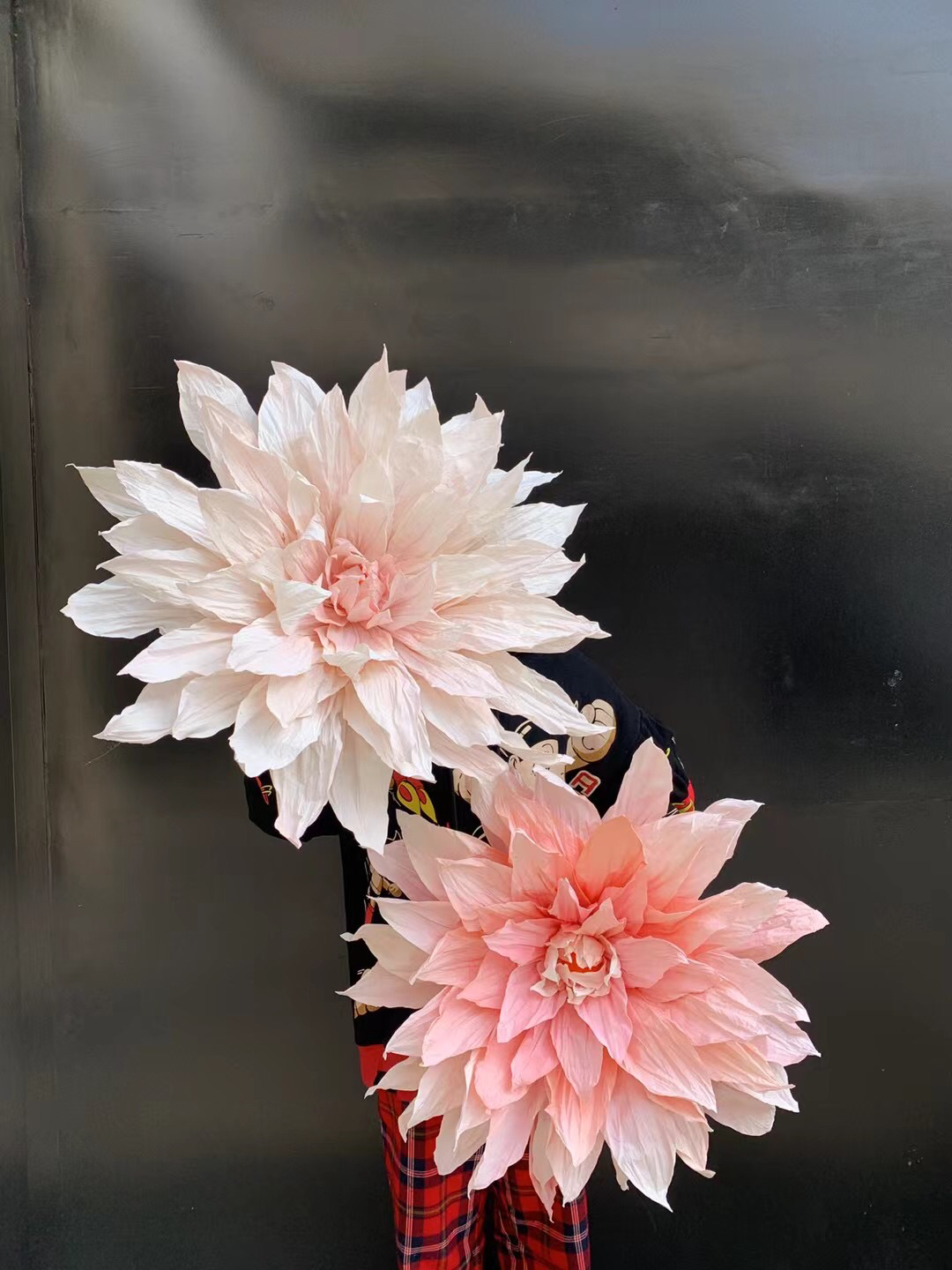 papel dahlia
