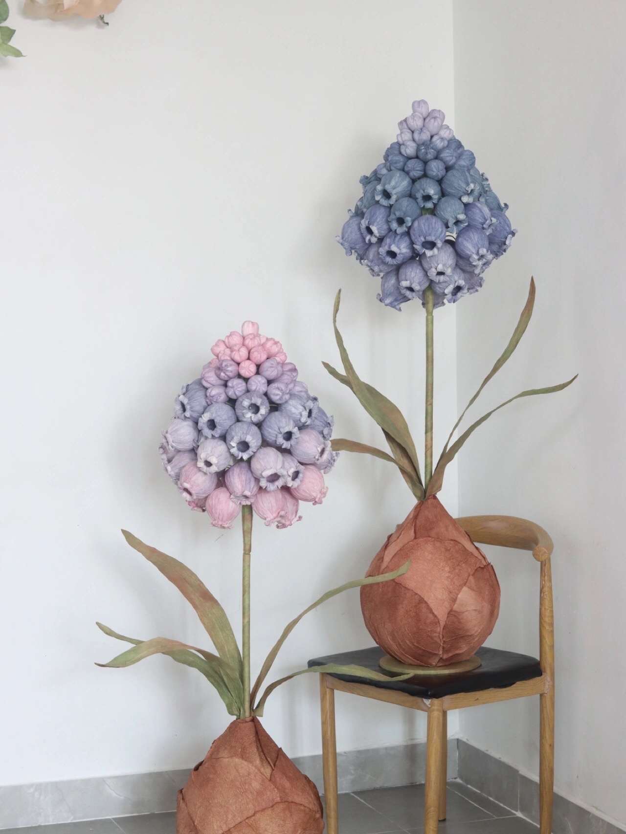 flor gigante de jacinto