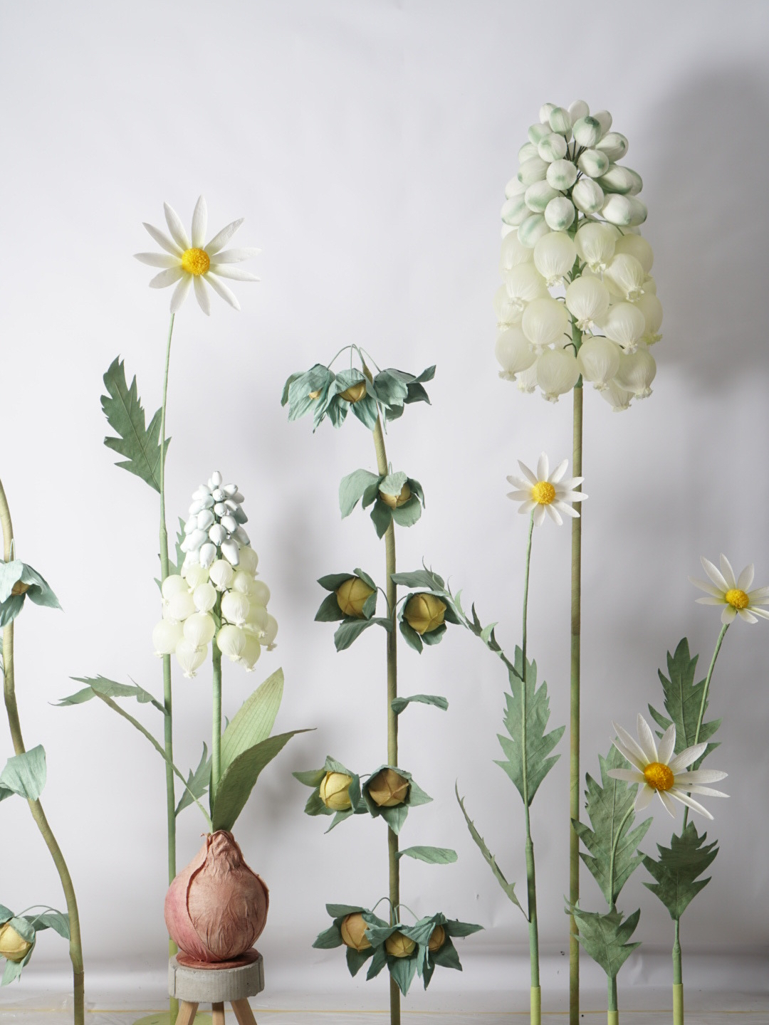 flores gigantes de jacinto
