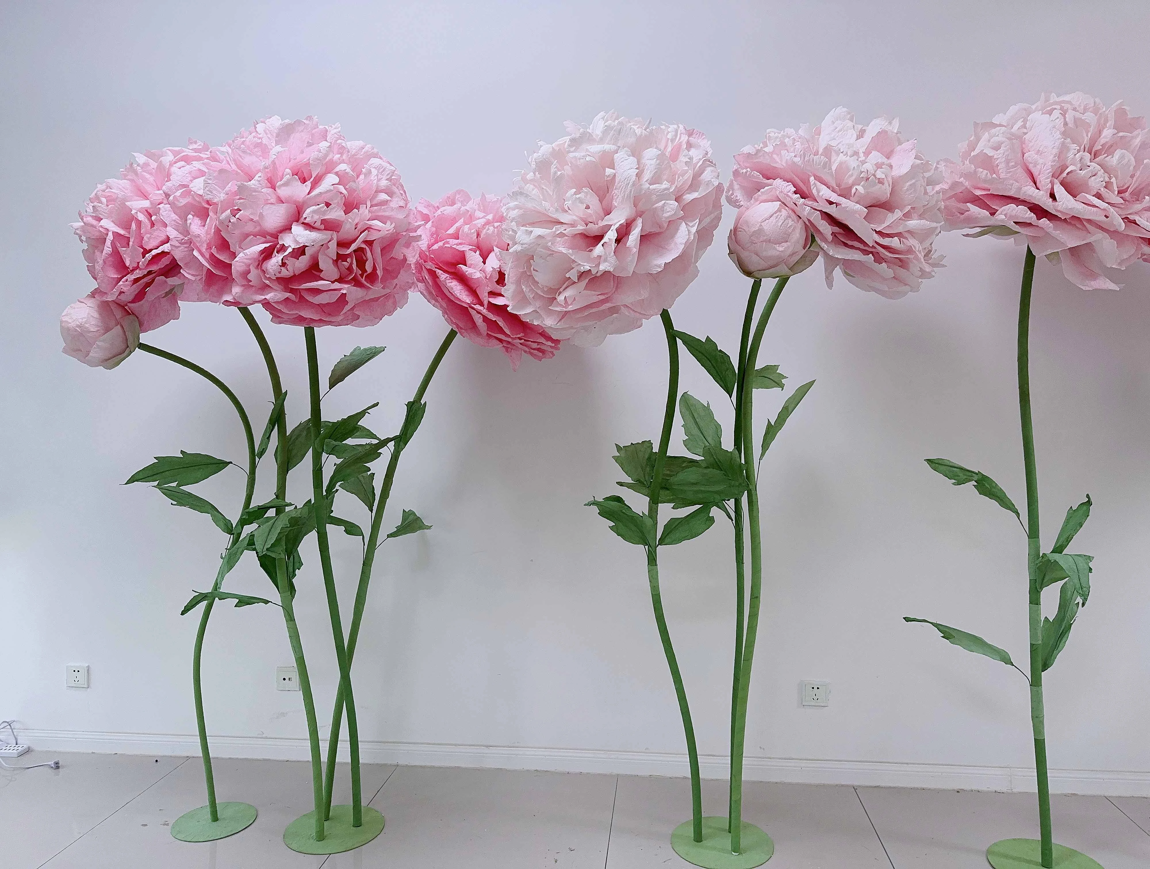 bodas y exhibiciones de ventanas