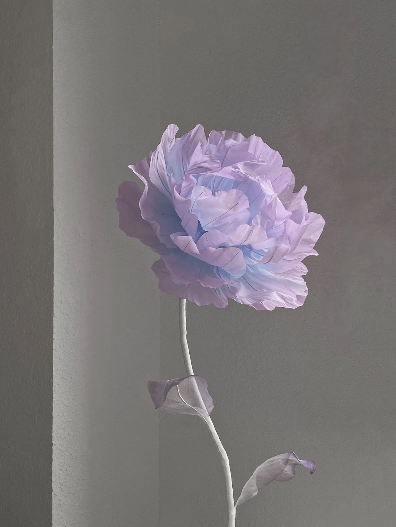 grandes décorations de fleurs