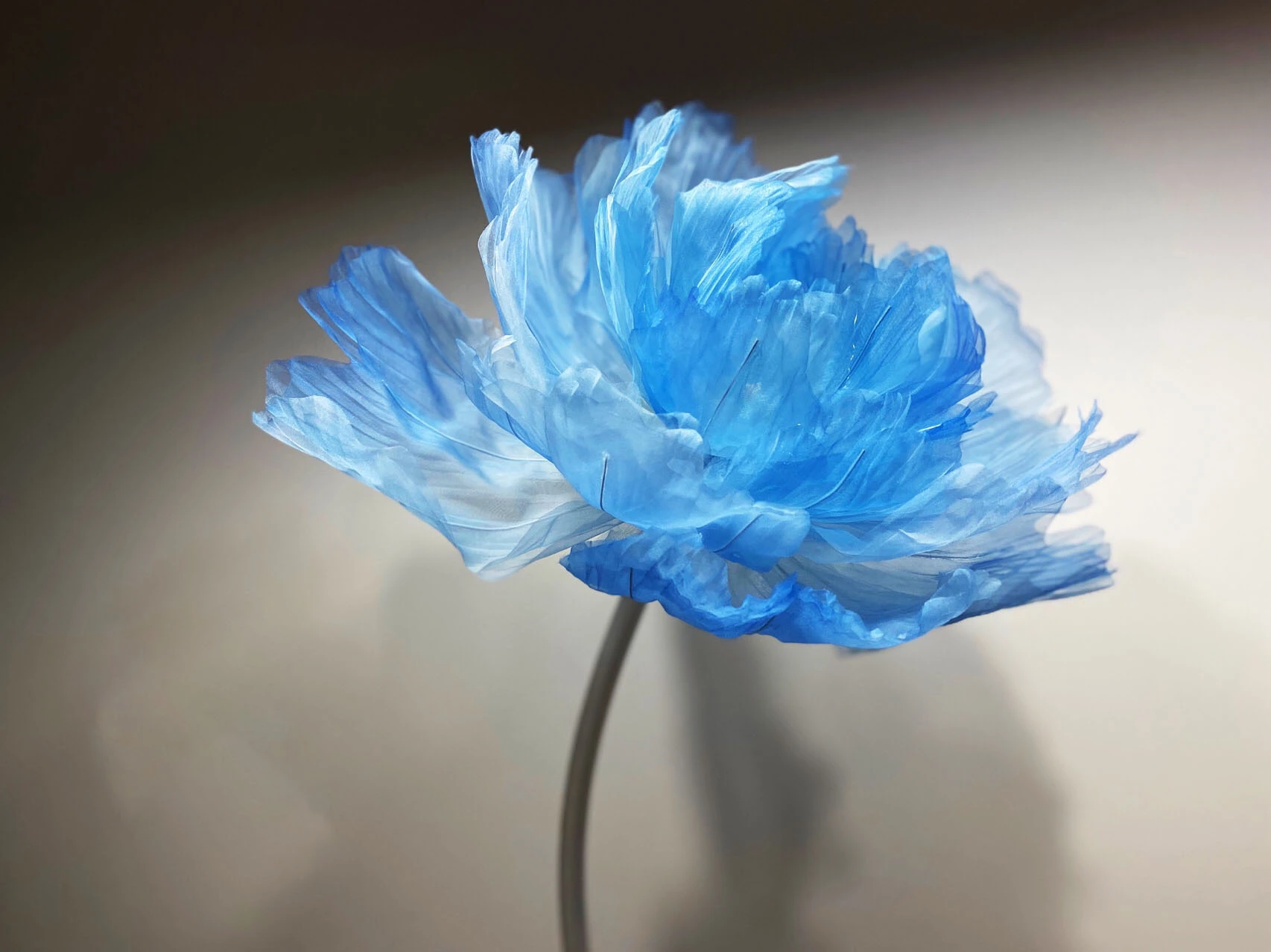 Les fleurs d'organza géantes délicatement coupées