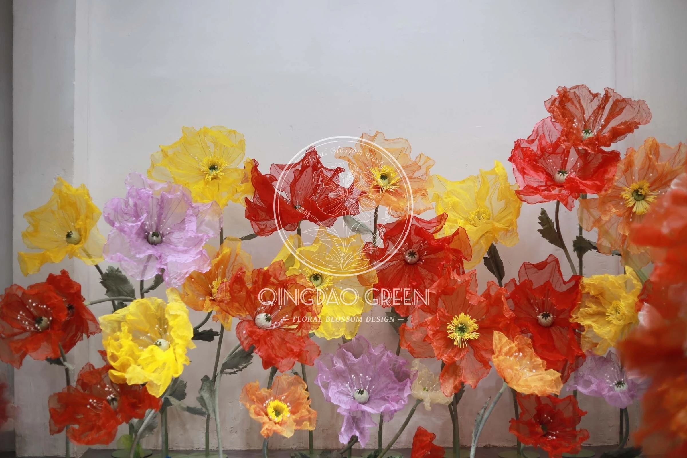 Le coquelicot géant coloré et beau