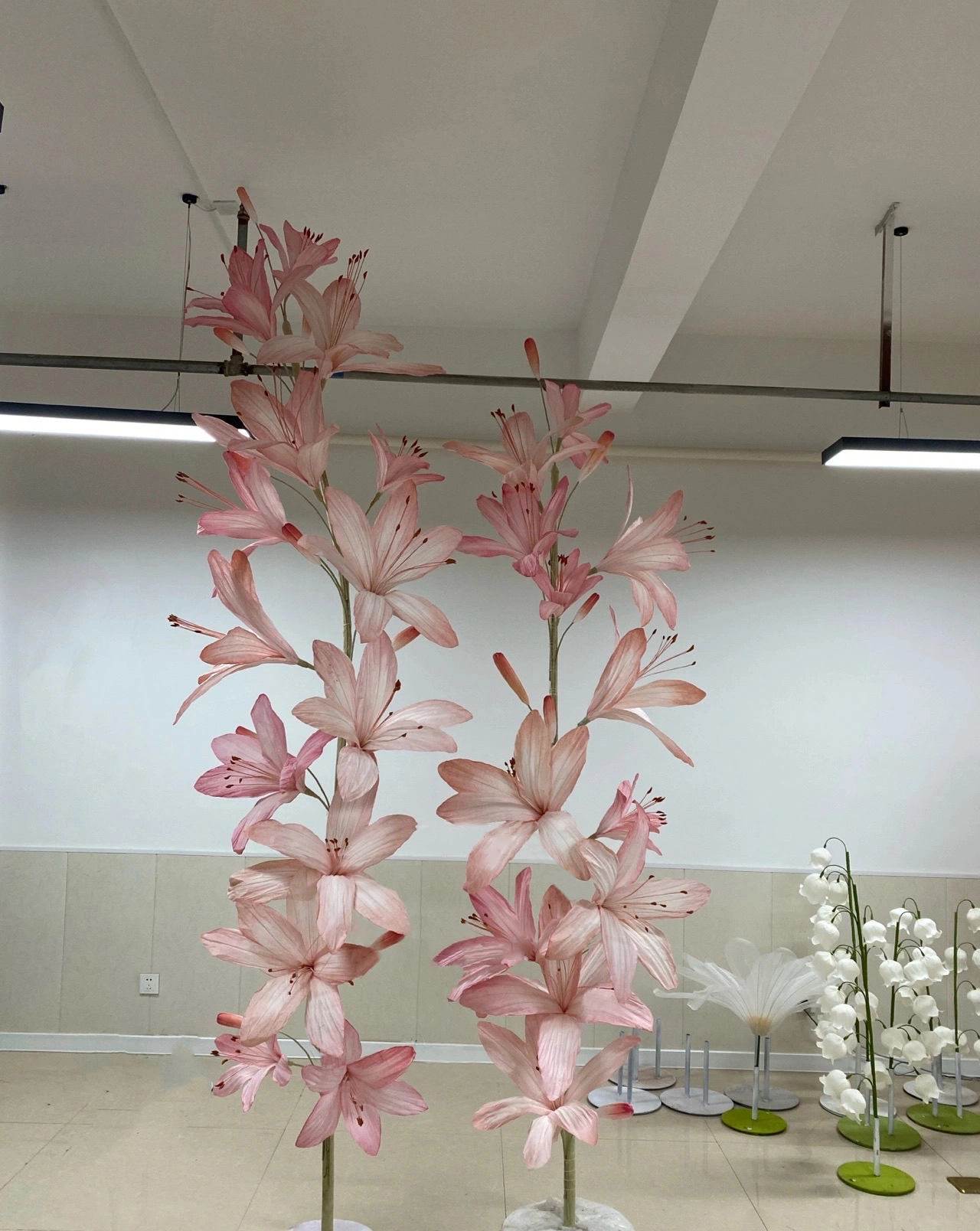 Documento gigante rosa Hosta