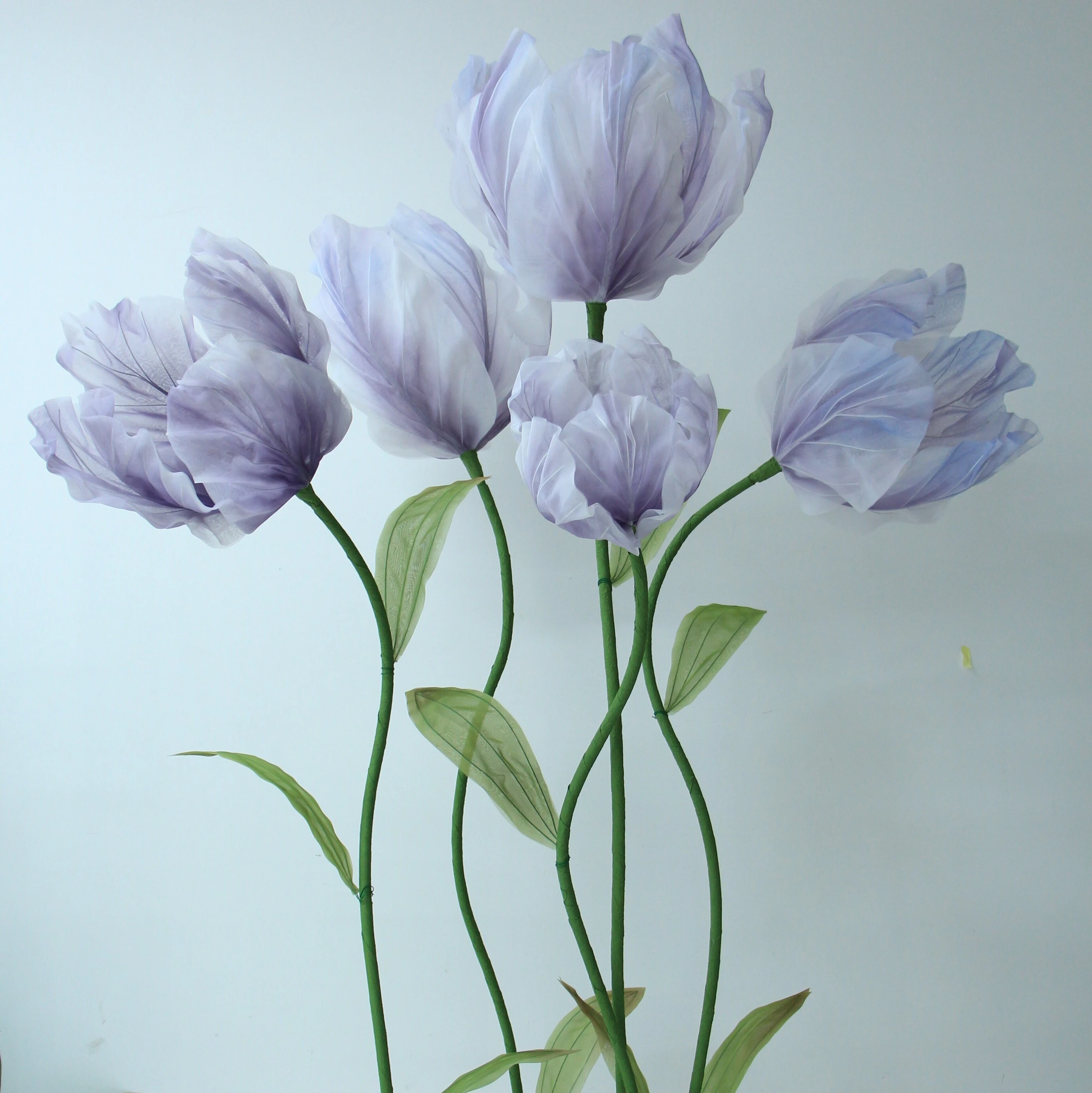 Los tulipanes de otro mundo son elegantes, hermosos y encantadores