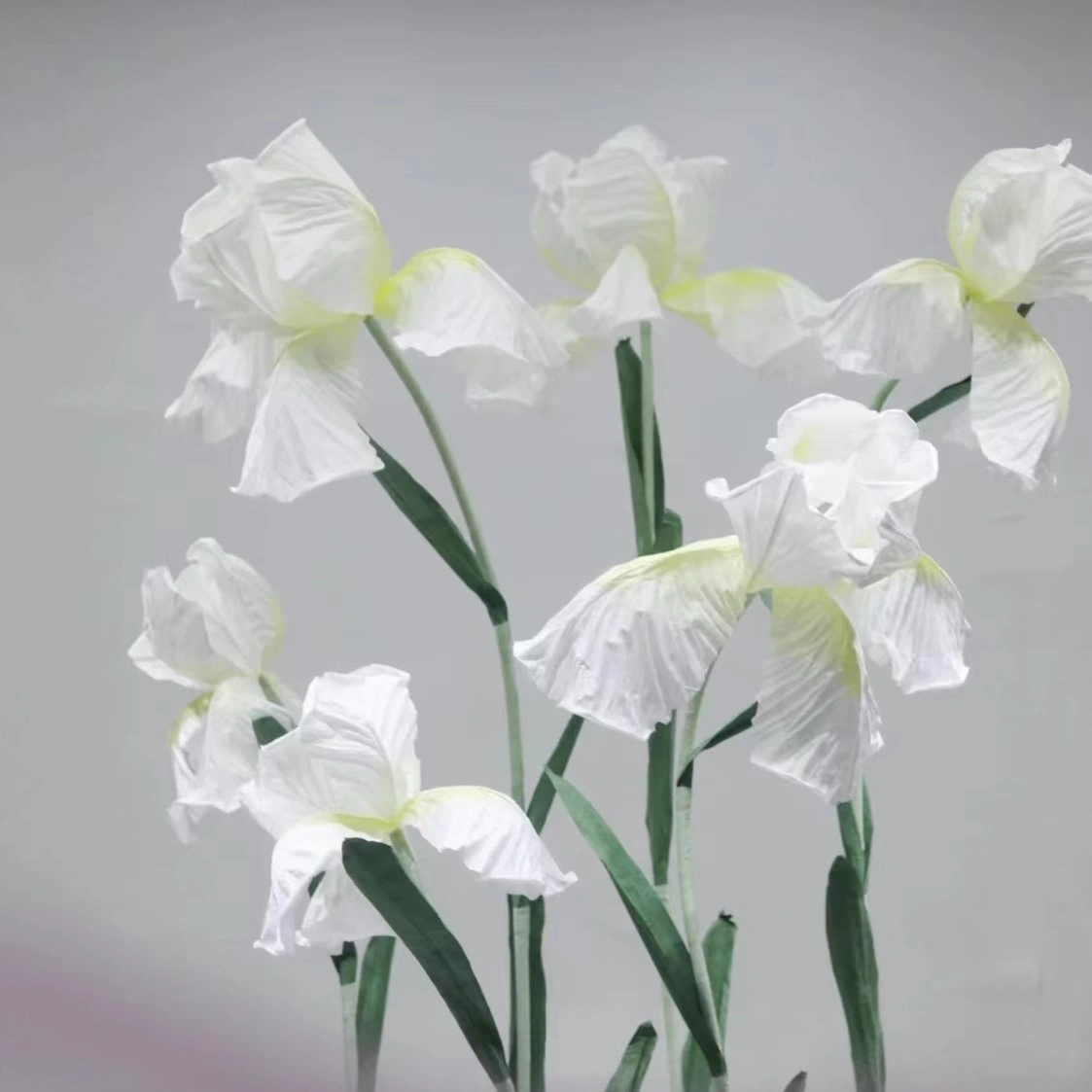 Iris de papel