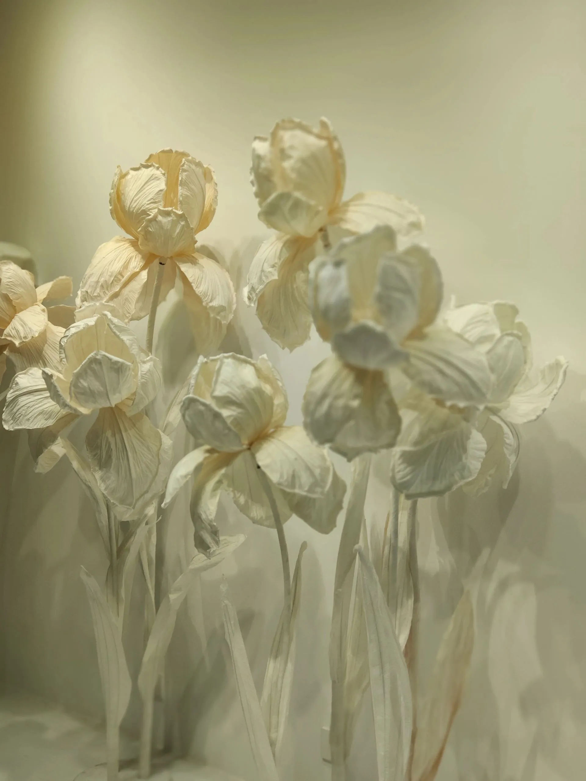 Paper Art Iris