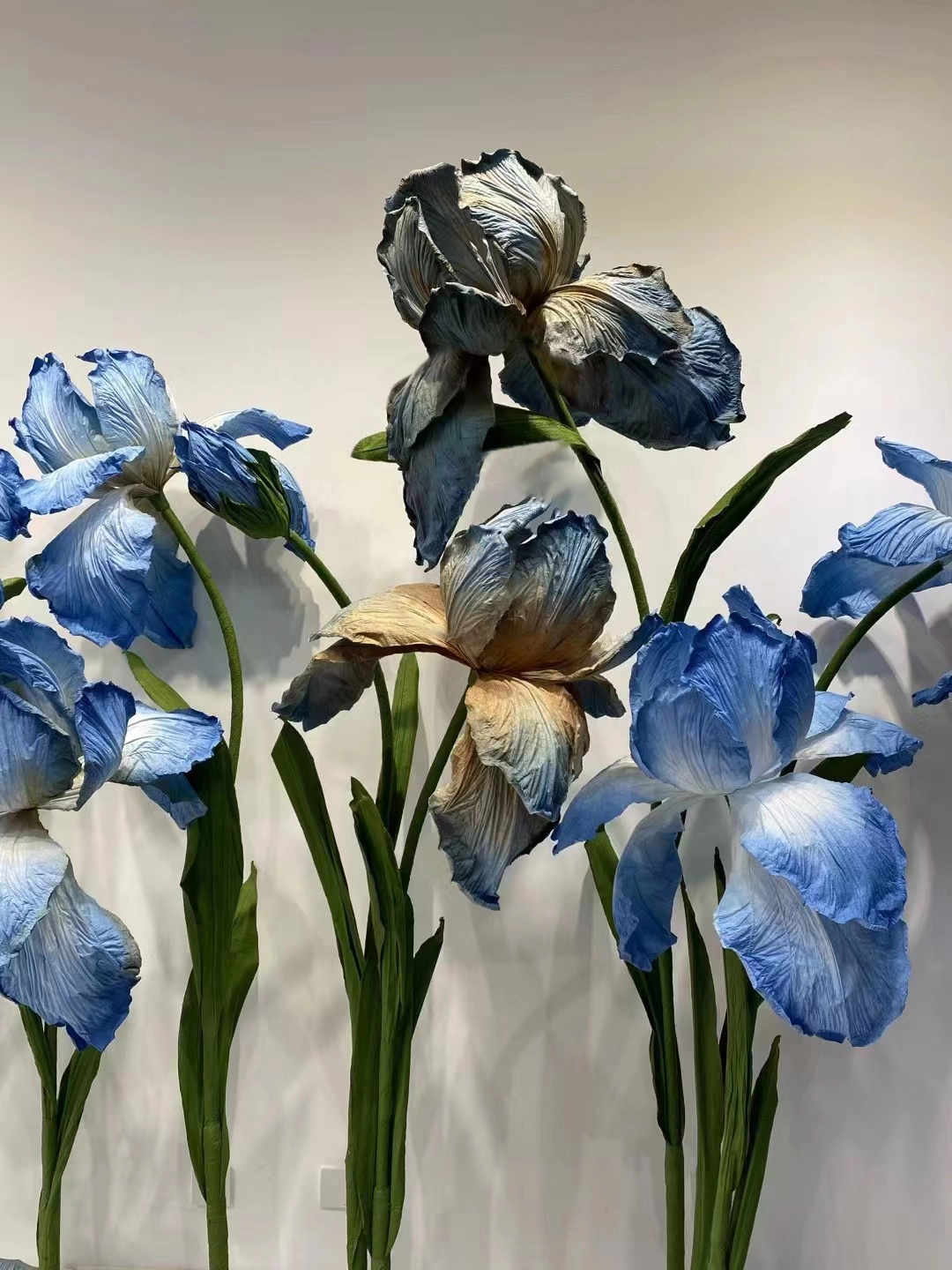 papel gigante iris azul
