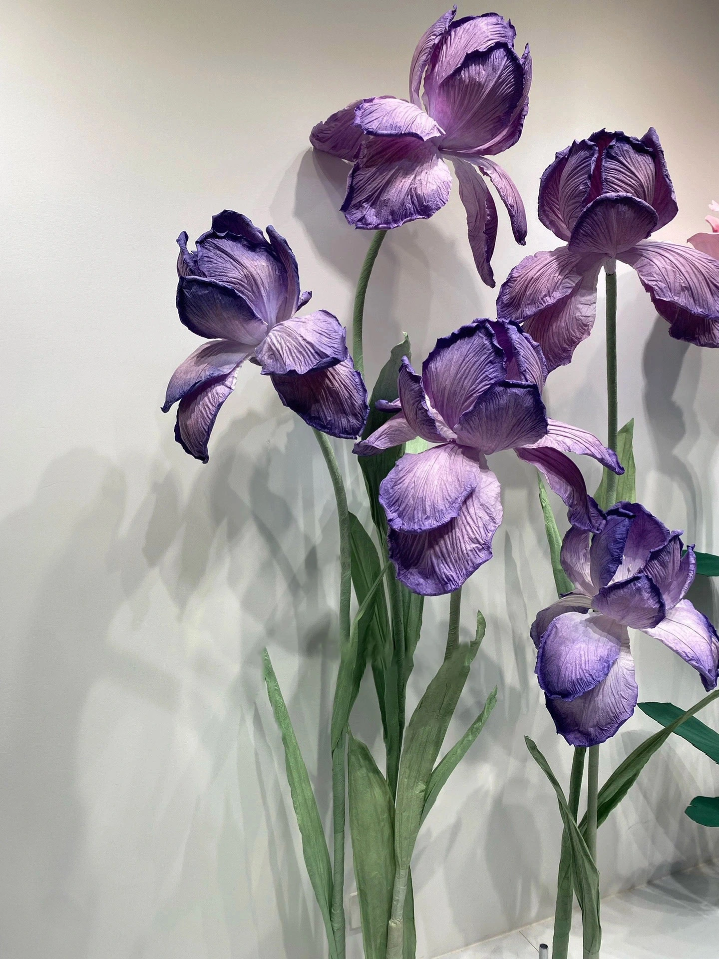 Iris gigante florece con lujoso encanto