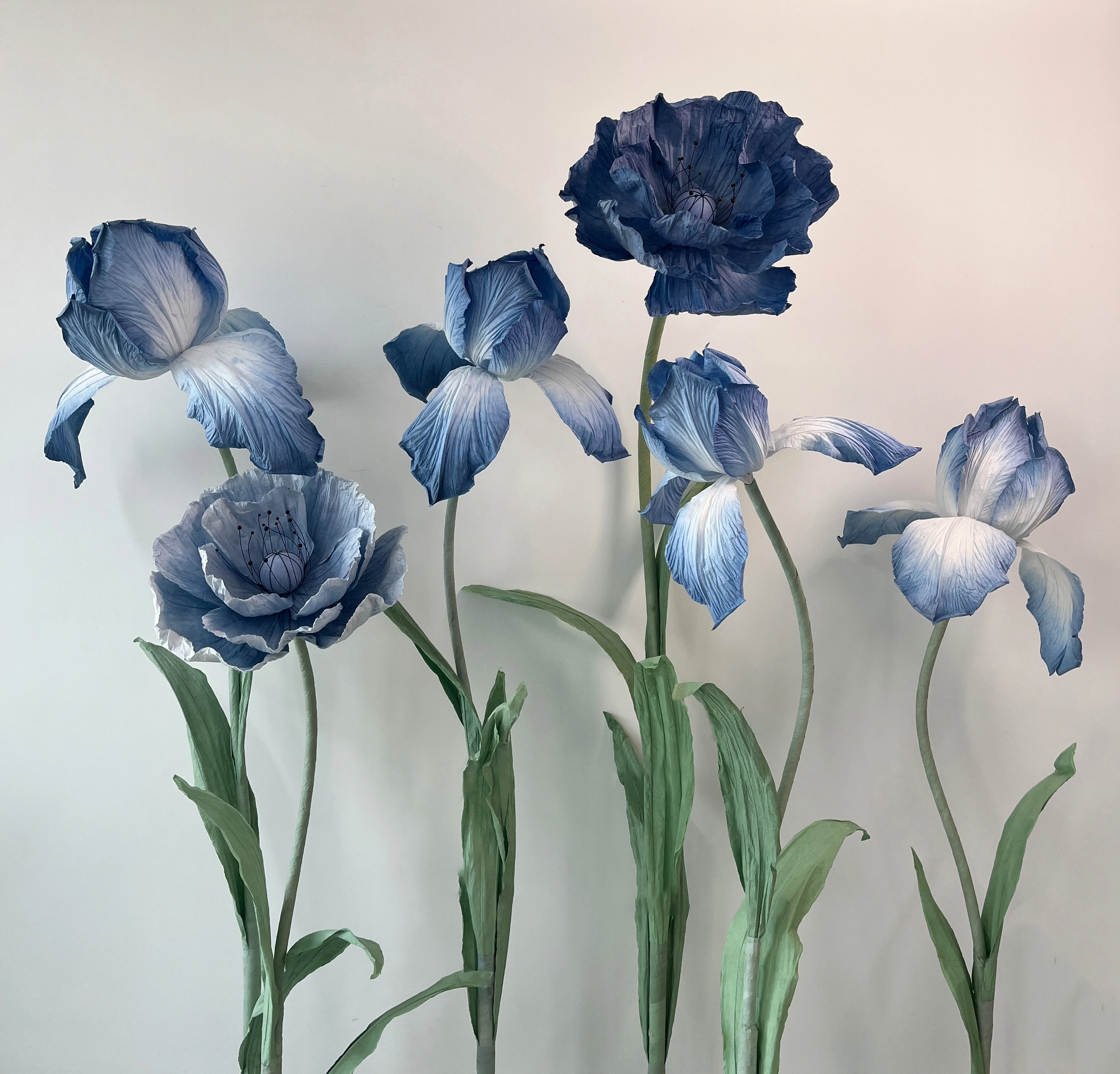 Hermoso y animado iris