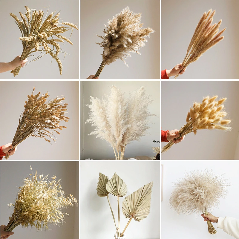 High-grade dried flowers living room decorations, homestay decorations, table decorations, weddings, freeze romantic moments 1