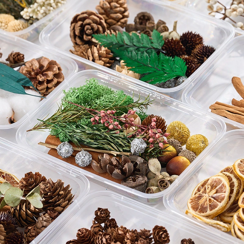 Caja de flores de fruta seca por Navidad conos de pino de canela de pino de bricolaje Decoración de aromaterapia libre de fuego Plantas naturales 1