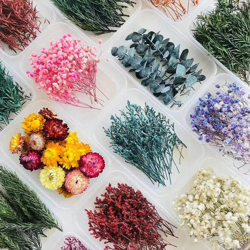 Fruta seca canela flor de floración seca paquete de material de bricolaje vela natural vela hecha a mano de yeso hecho decoración 1