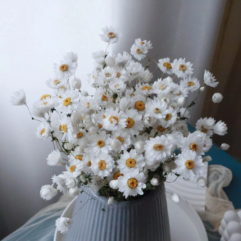 Adornos decorativos de flores reales naturales secados al aire 1
