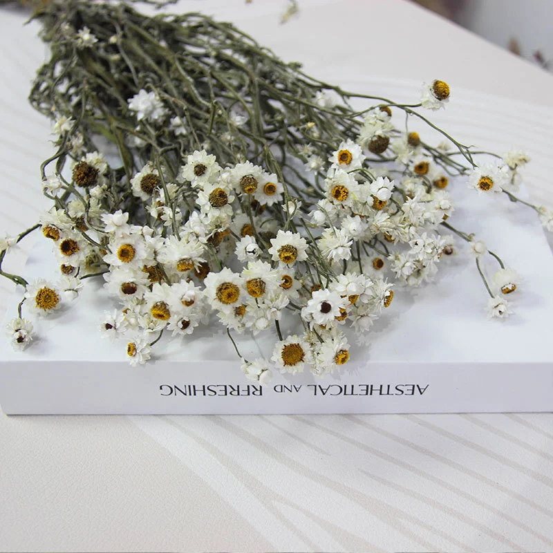 Silver-wrapped chrysanthemum forest series everlasting flowers home office decoration 1